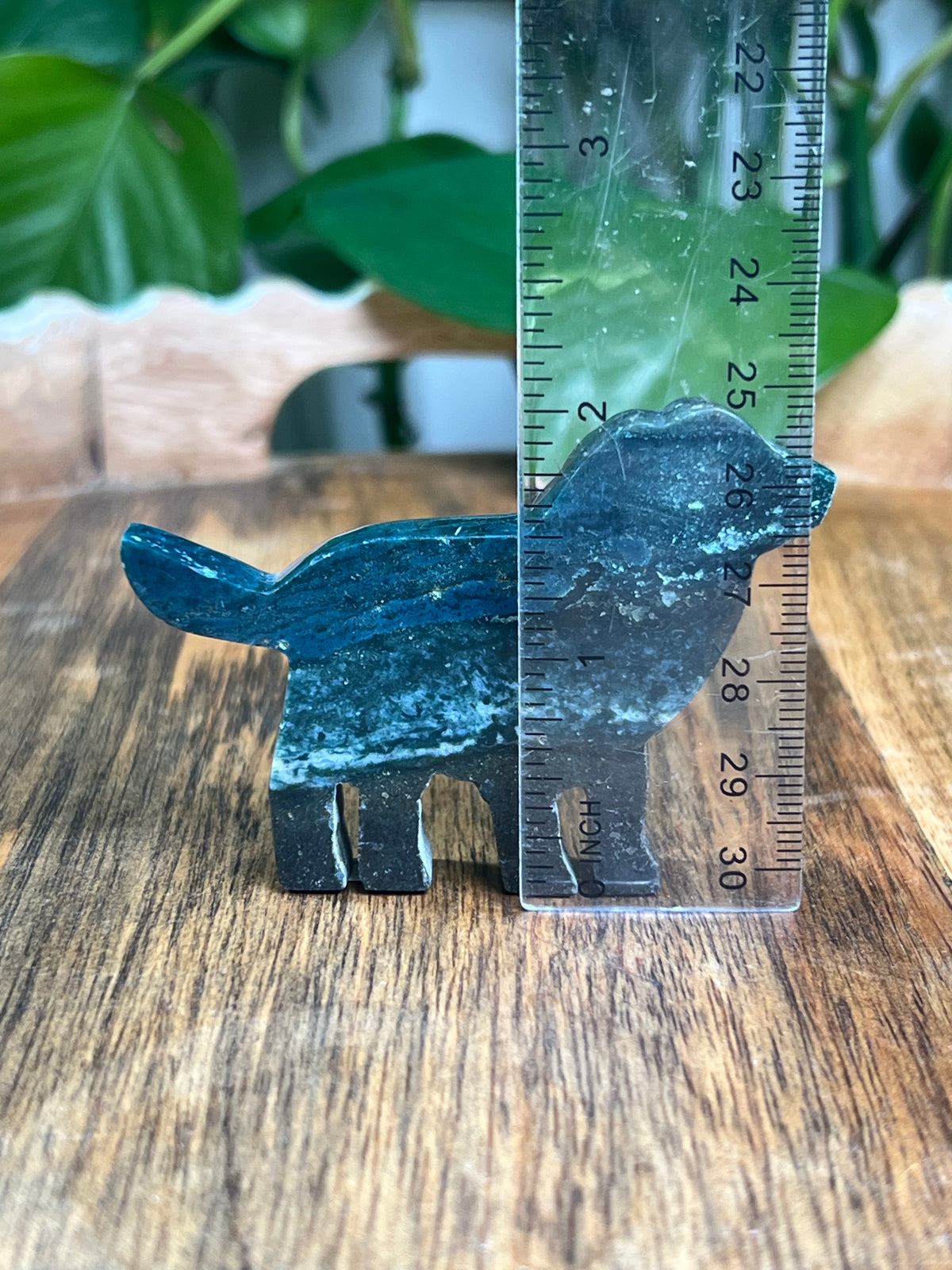 Blue Green Jasper Dog: BB