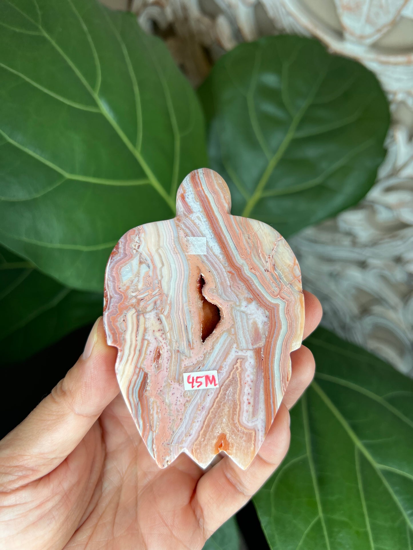 Crazy Lace Agate Turtle