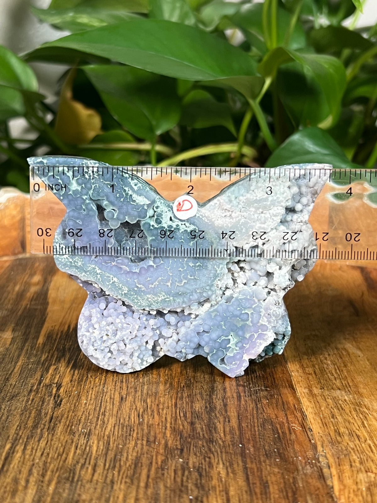 Grape Agate Butterflies