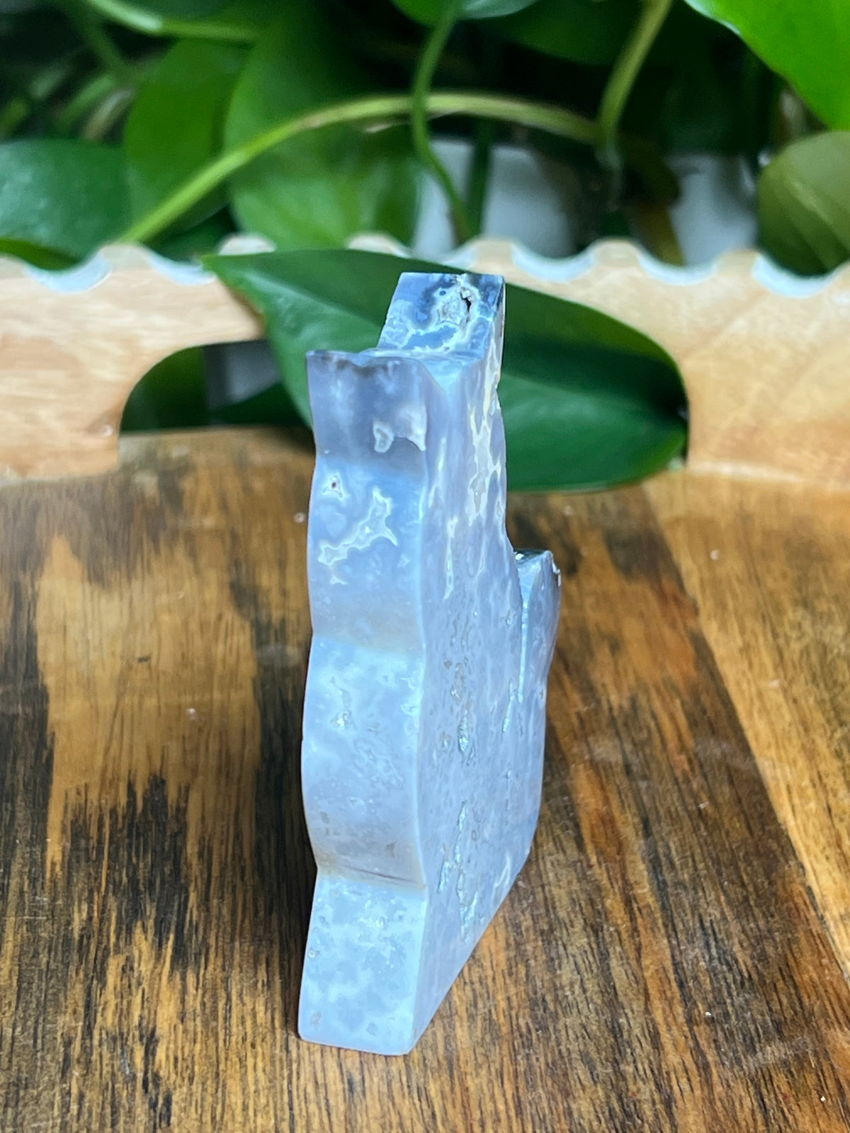 Blue Plume Agate Cat: BB