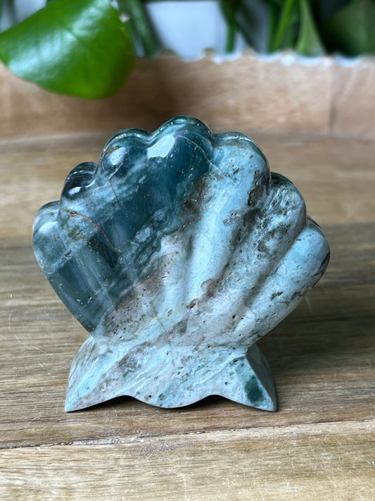 Blue Green Jasper Shell