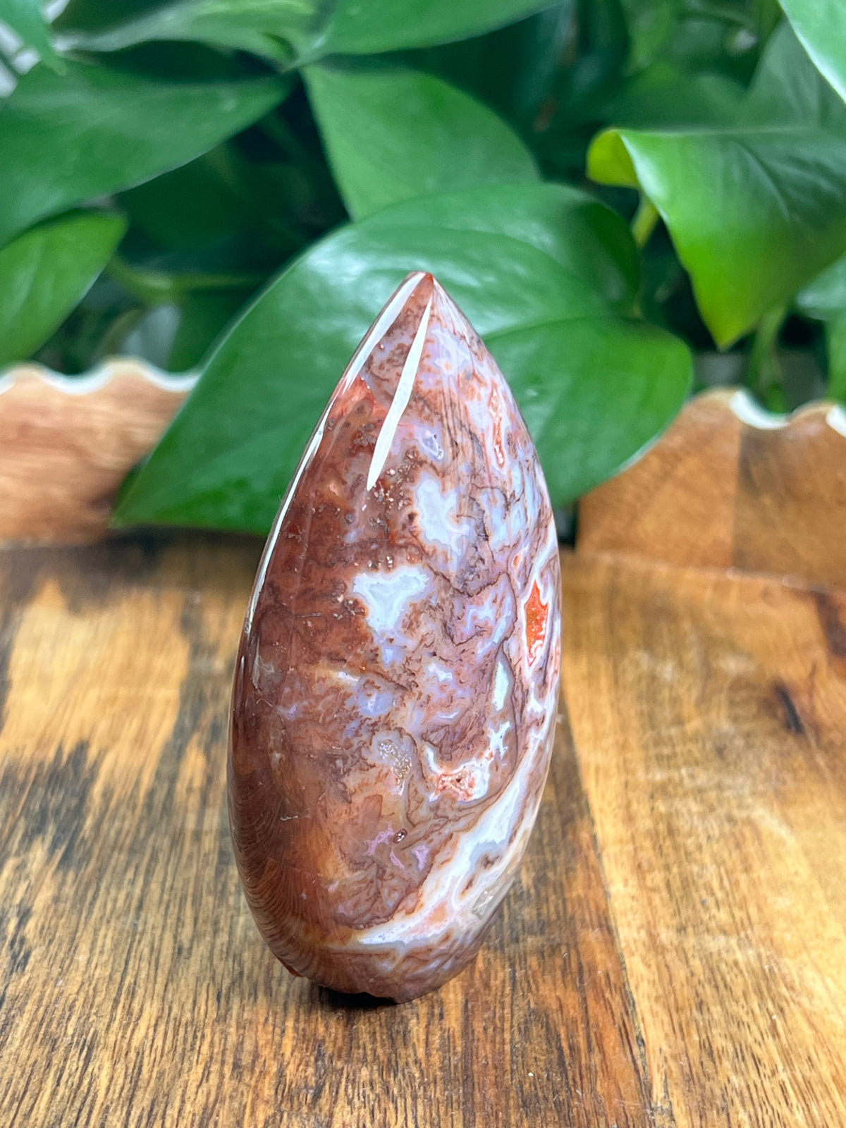 Sumatra Plume Agate Flame: BK