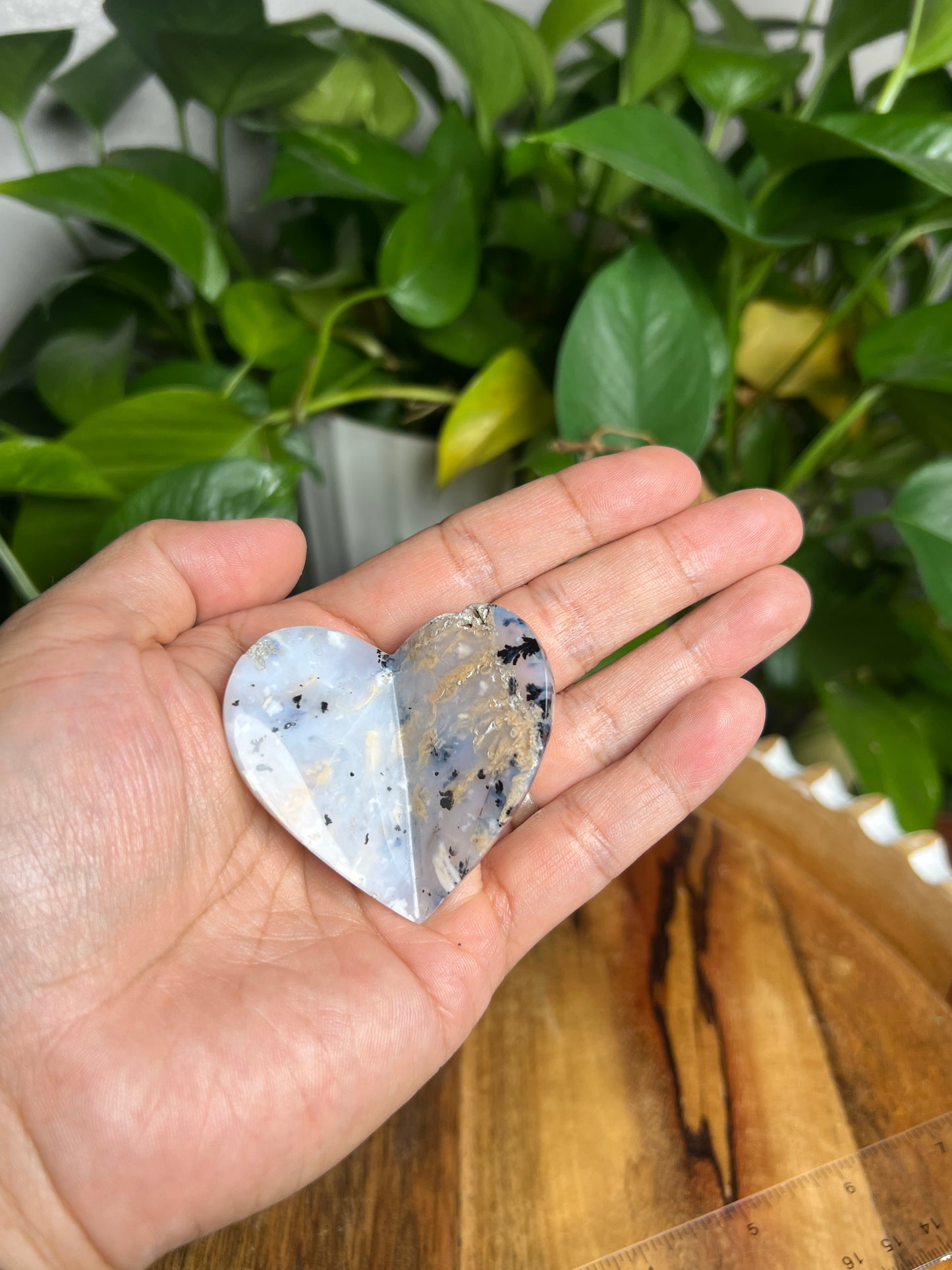 Dendritic Tiger Agate 3D Butterfly HB