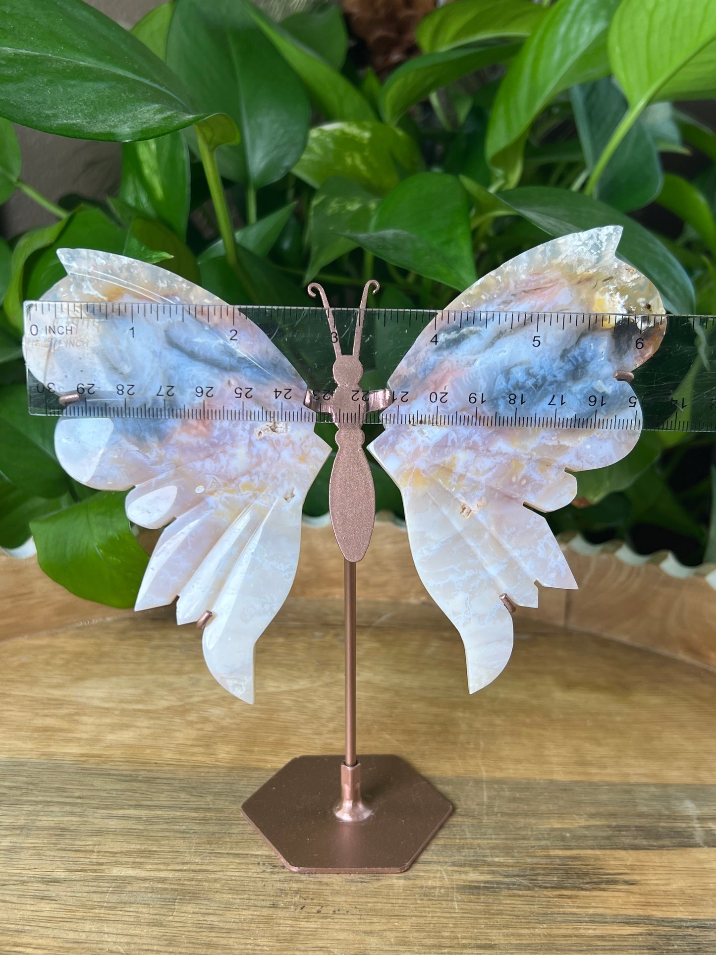 Rainbow Plume Agate Wings