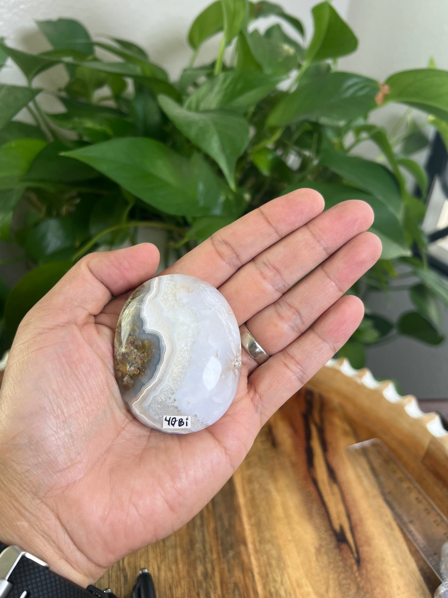 Scenic Moss Agate Palmstone: Bi