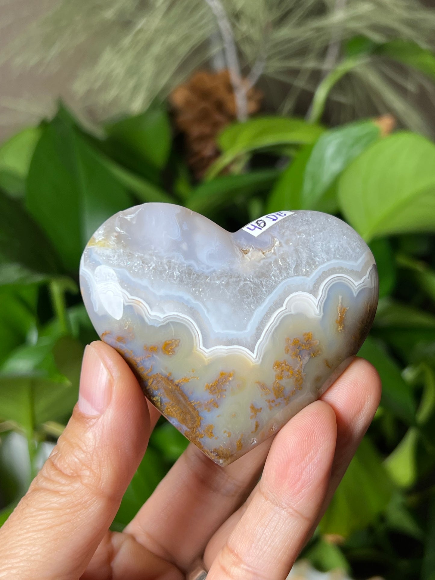 Scenic Moss Agate Heart