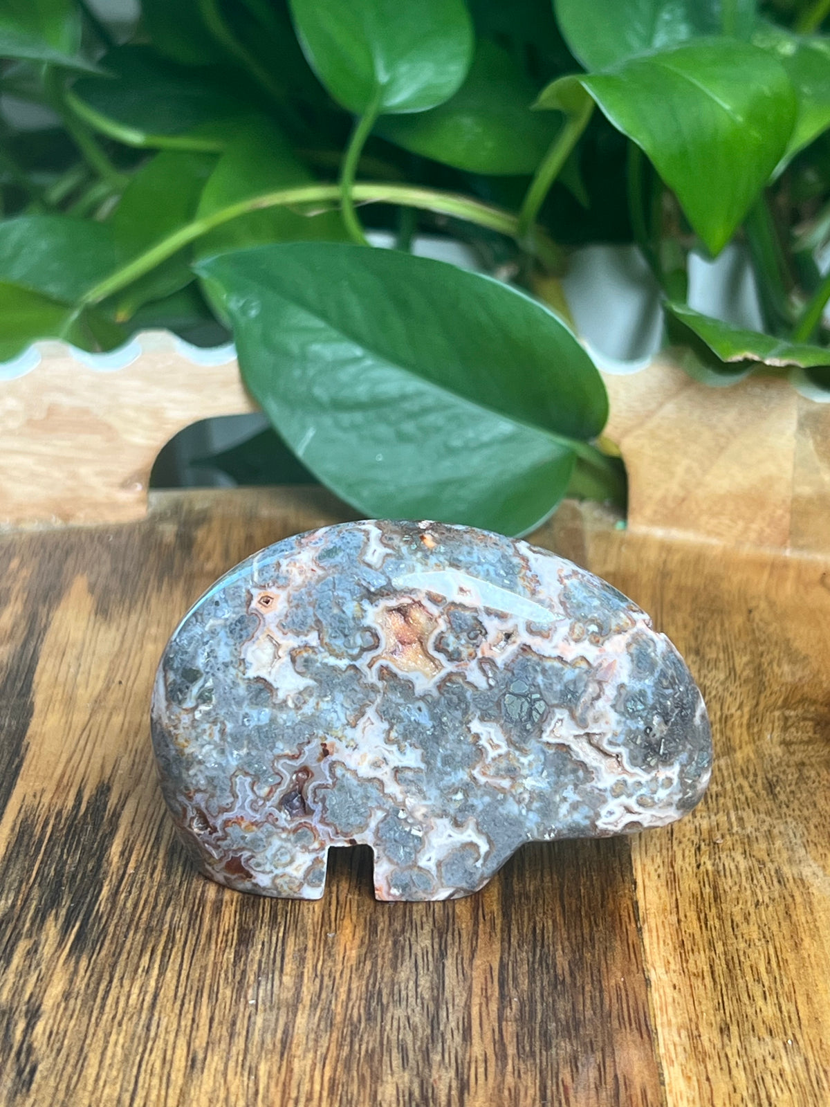 Marcasite Bear: TE