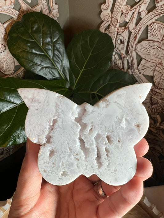 White Plume Agate Butterfly