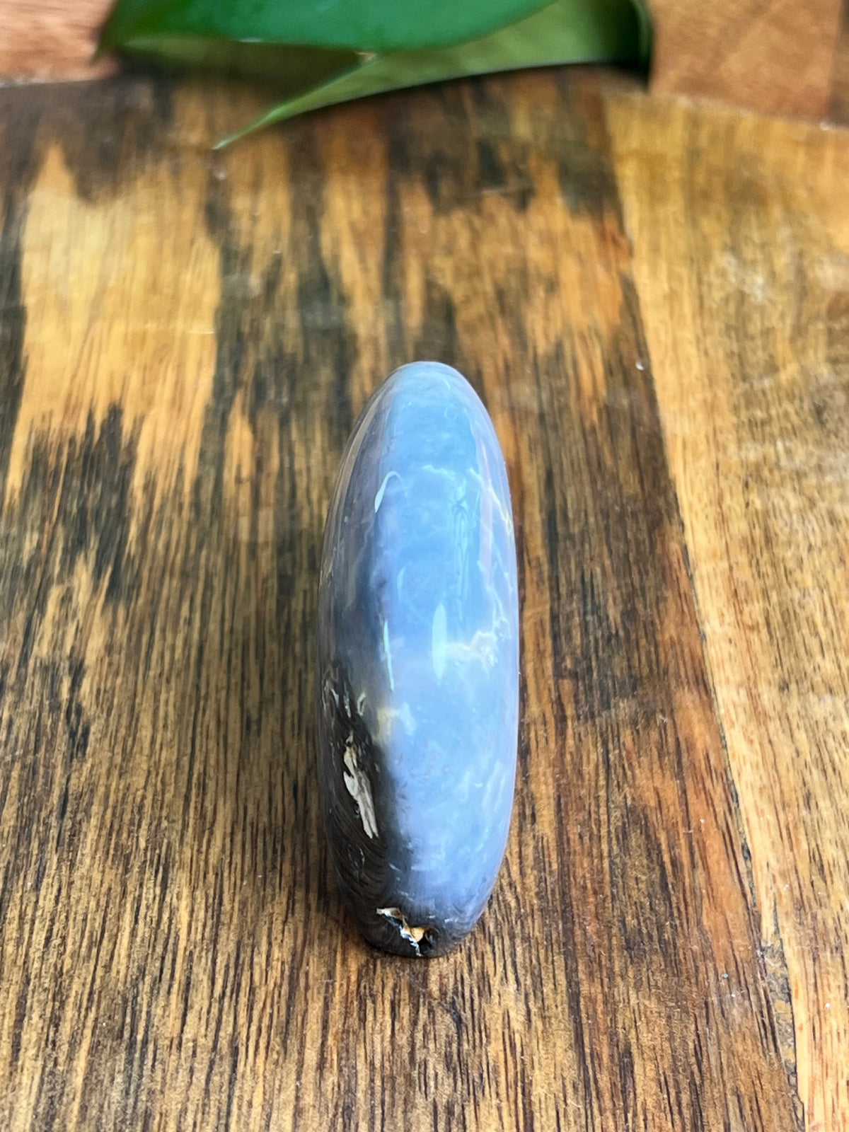 Blue Plume Agate Bear: DN