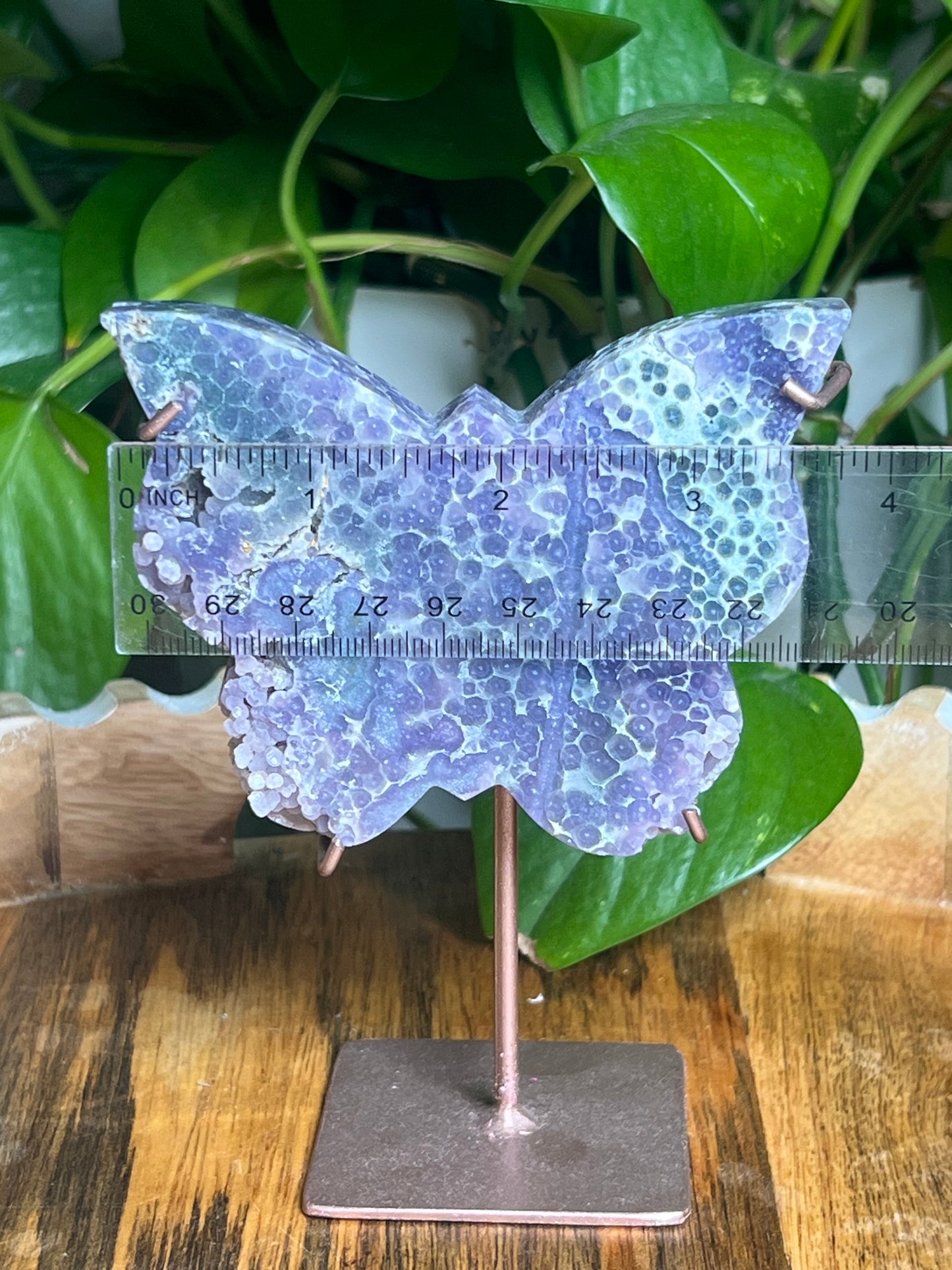 Grape Agate Butterfly: AX