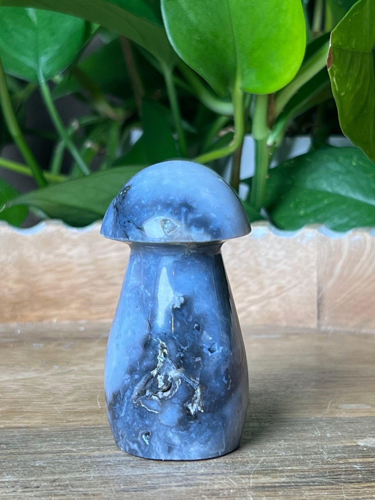 Blue Plume Agate Mushroom: ZE
