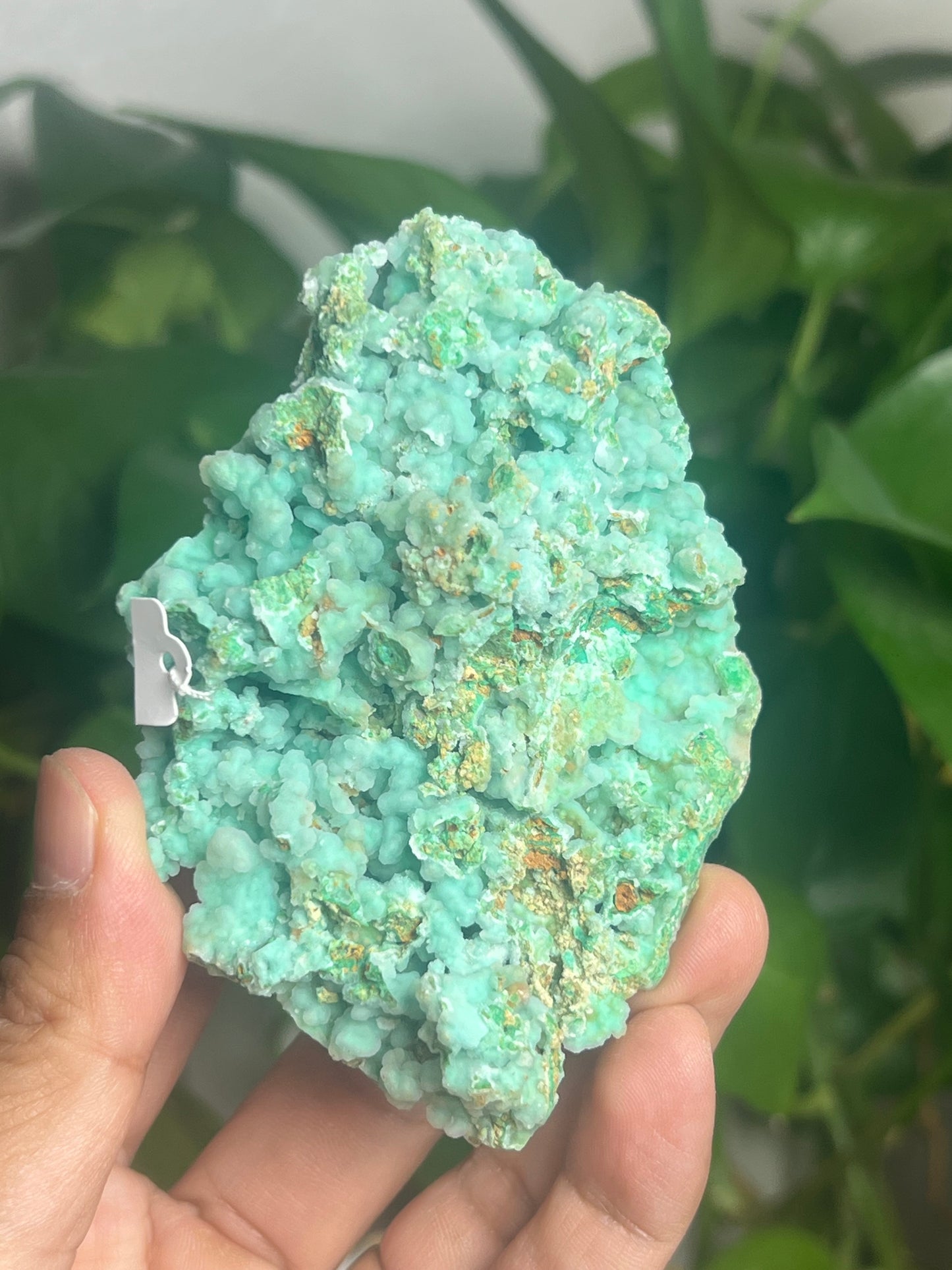 Smithsonite Specimen Ai