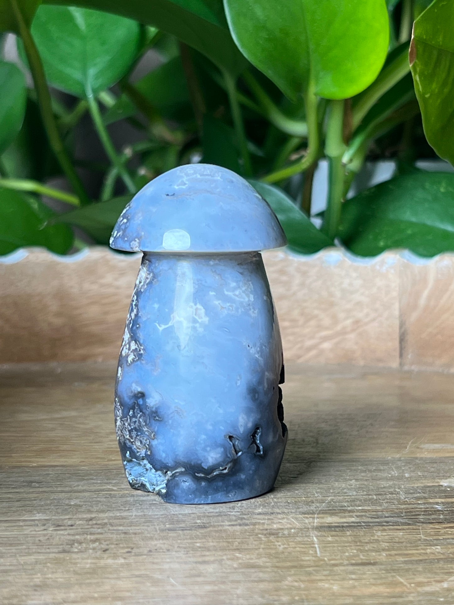 Blue Plume Agate Mushroom: ZB