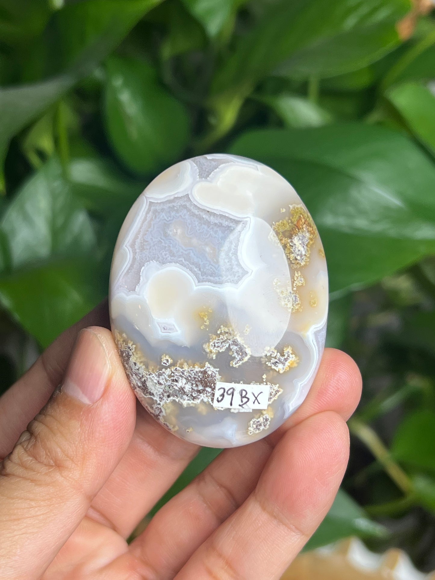 Scenic Moss Agate Palmstone: BX