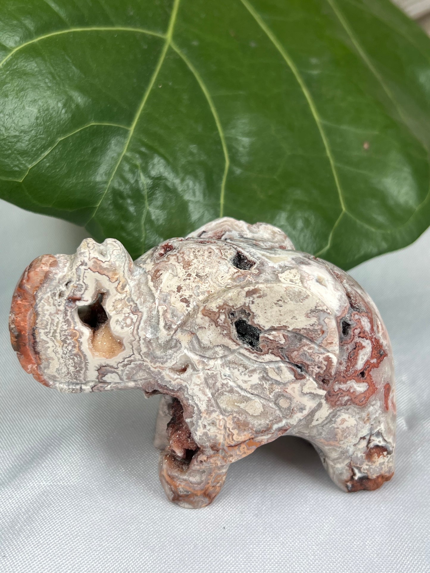 Crazy Lace Agate Elephant