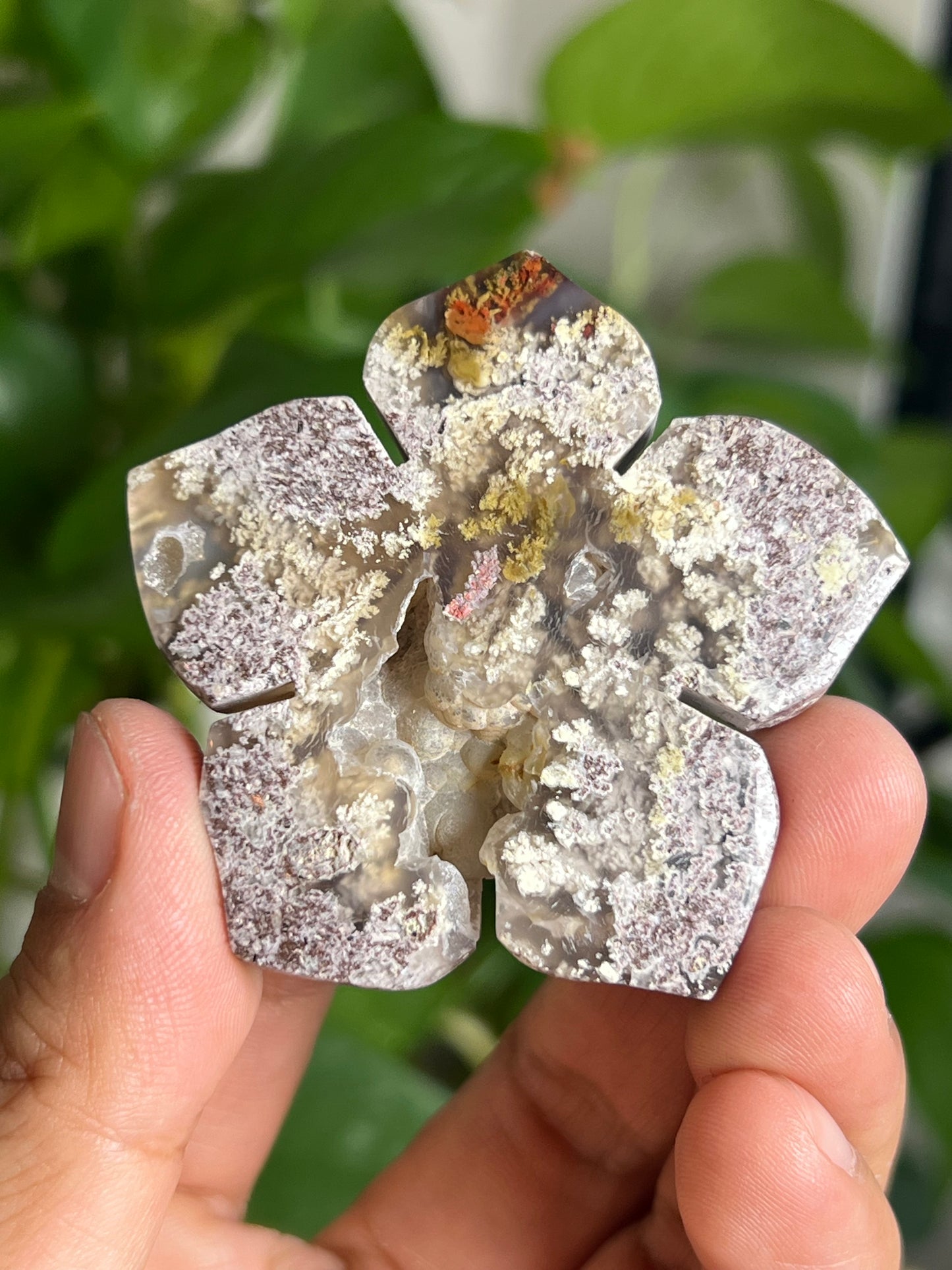 Scenic Moss Agate Flower: NF