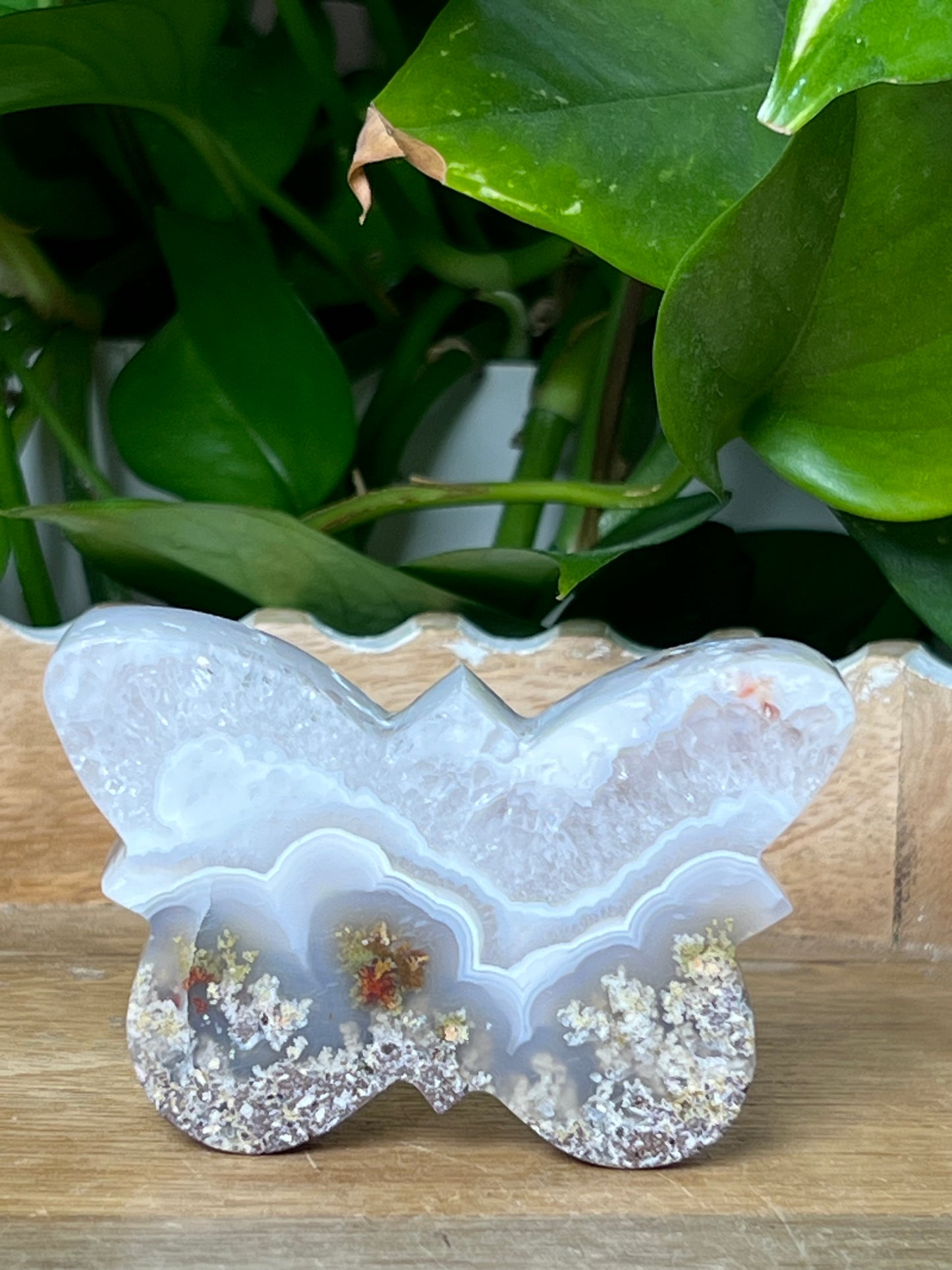 Scenic Moss Agate Butterfly