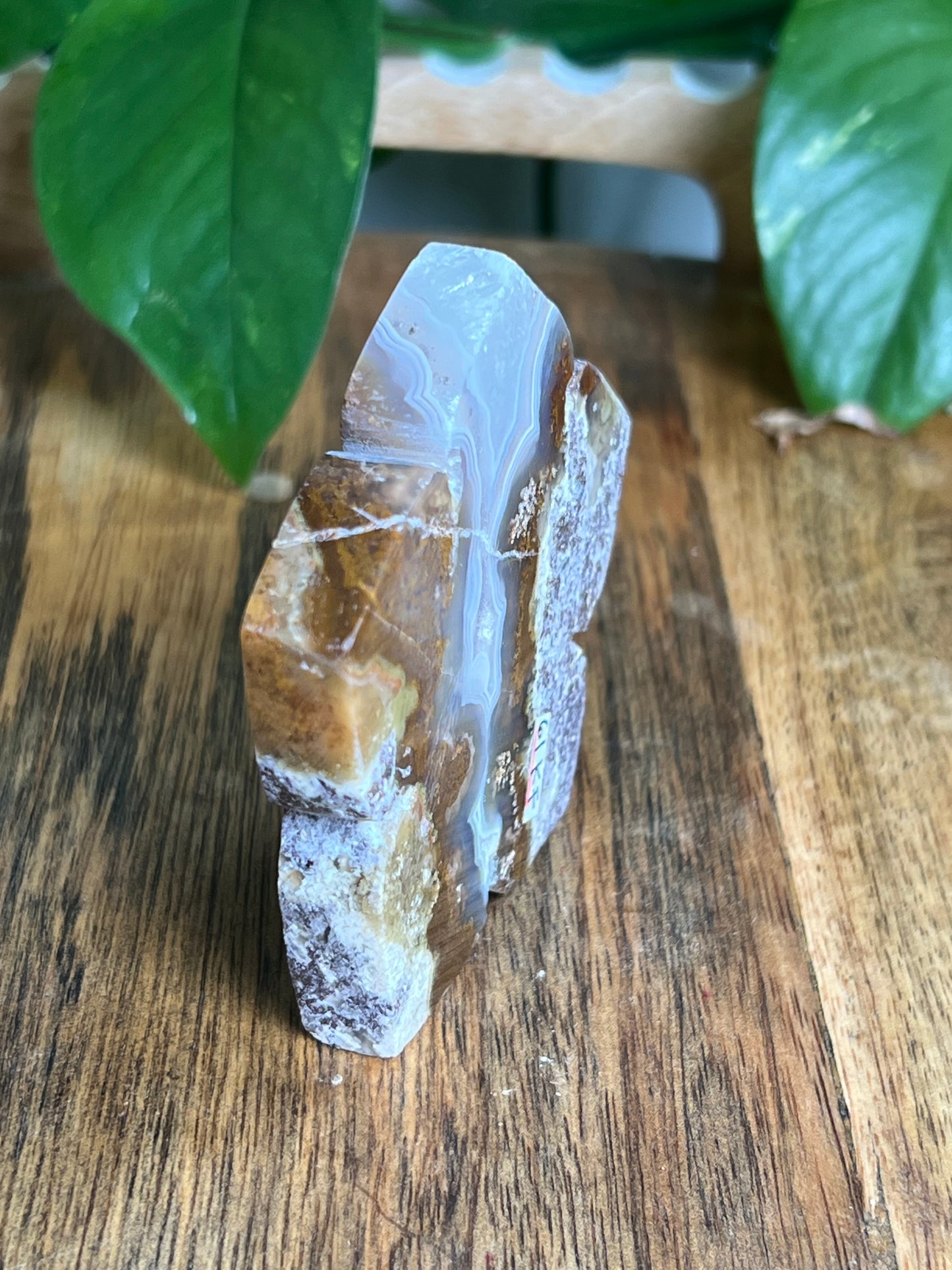 Scenic Moss Agate Flower KF