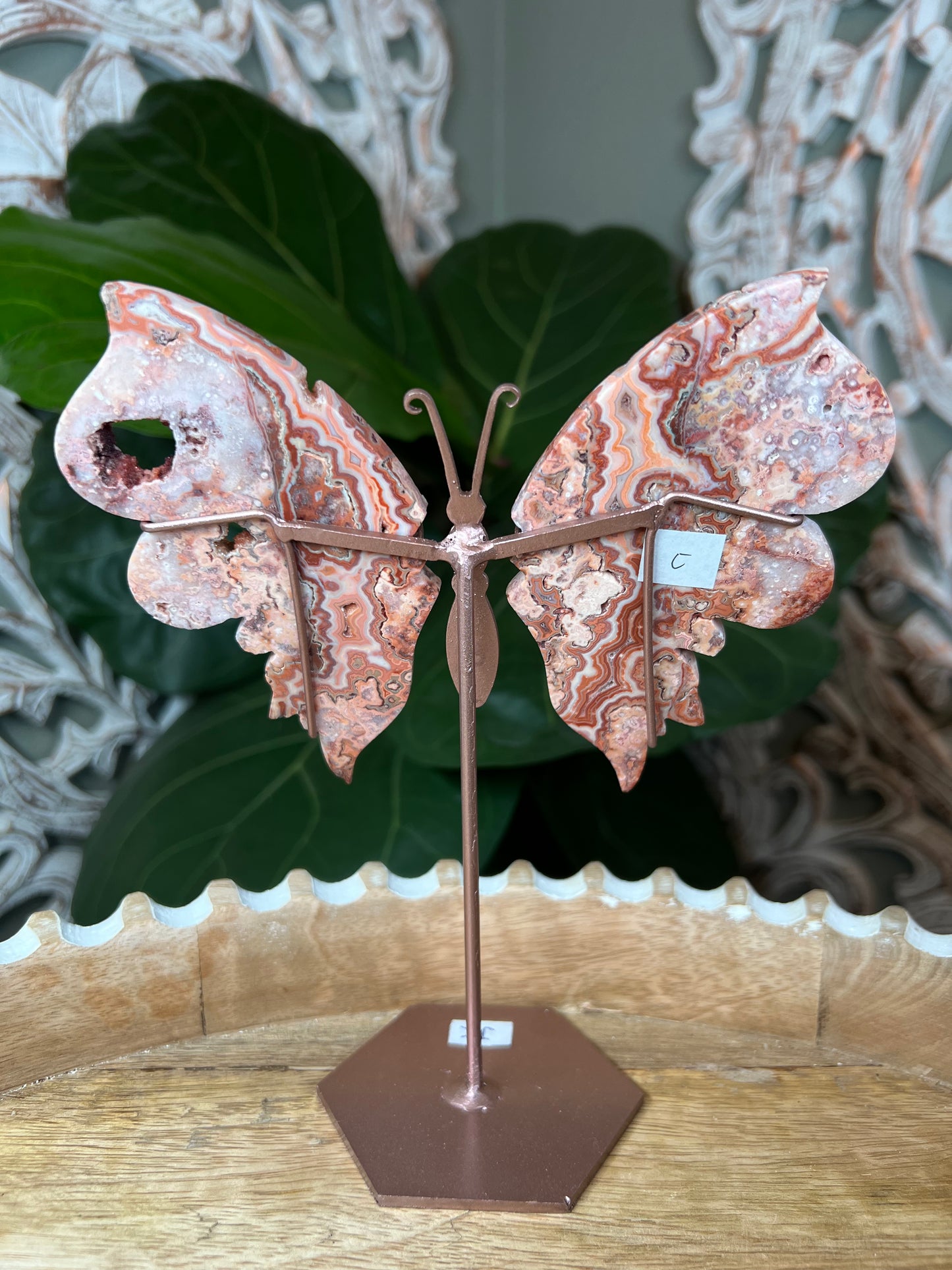 Crazy Lace Agate Wings