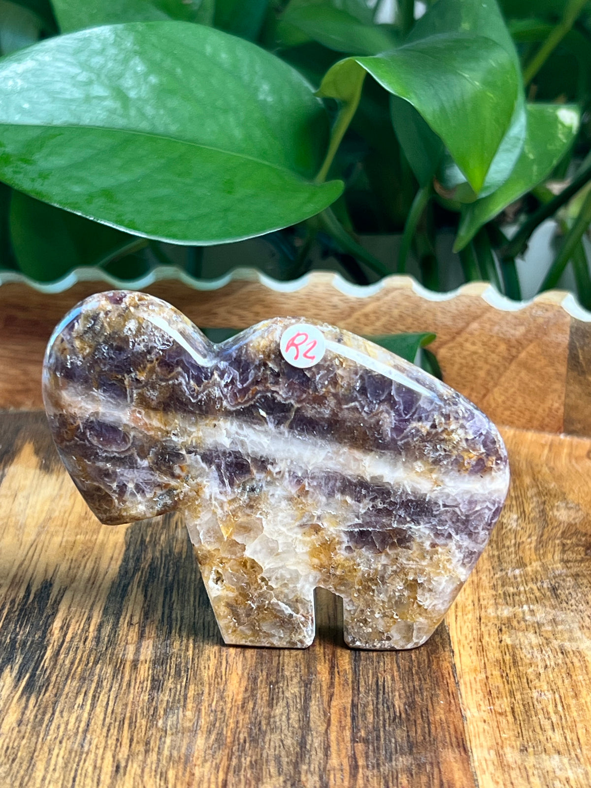 Indonesian Amethyst Buffalos