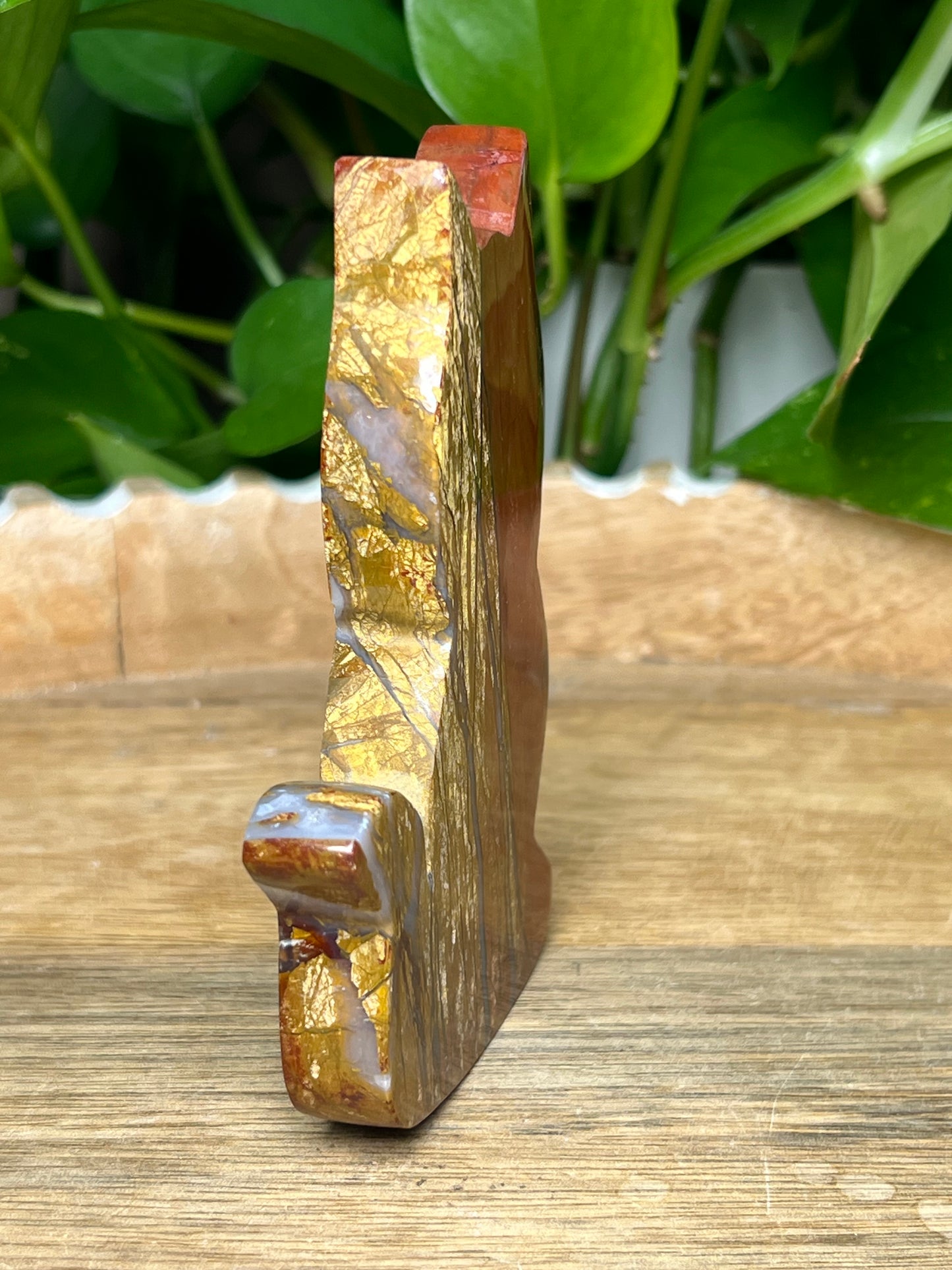 Mossy Red Jasper Cat