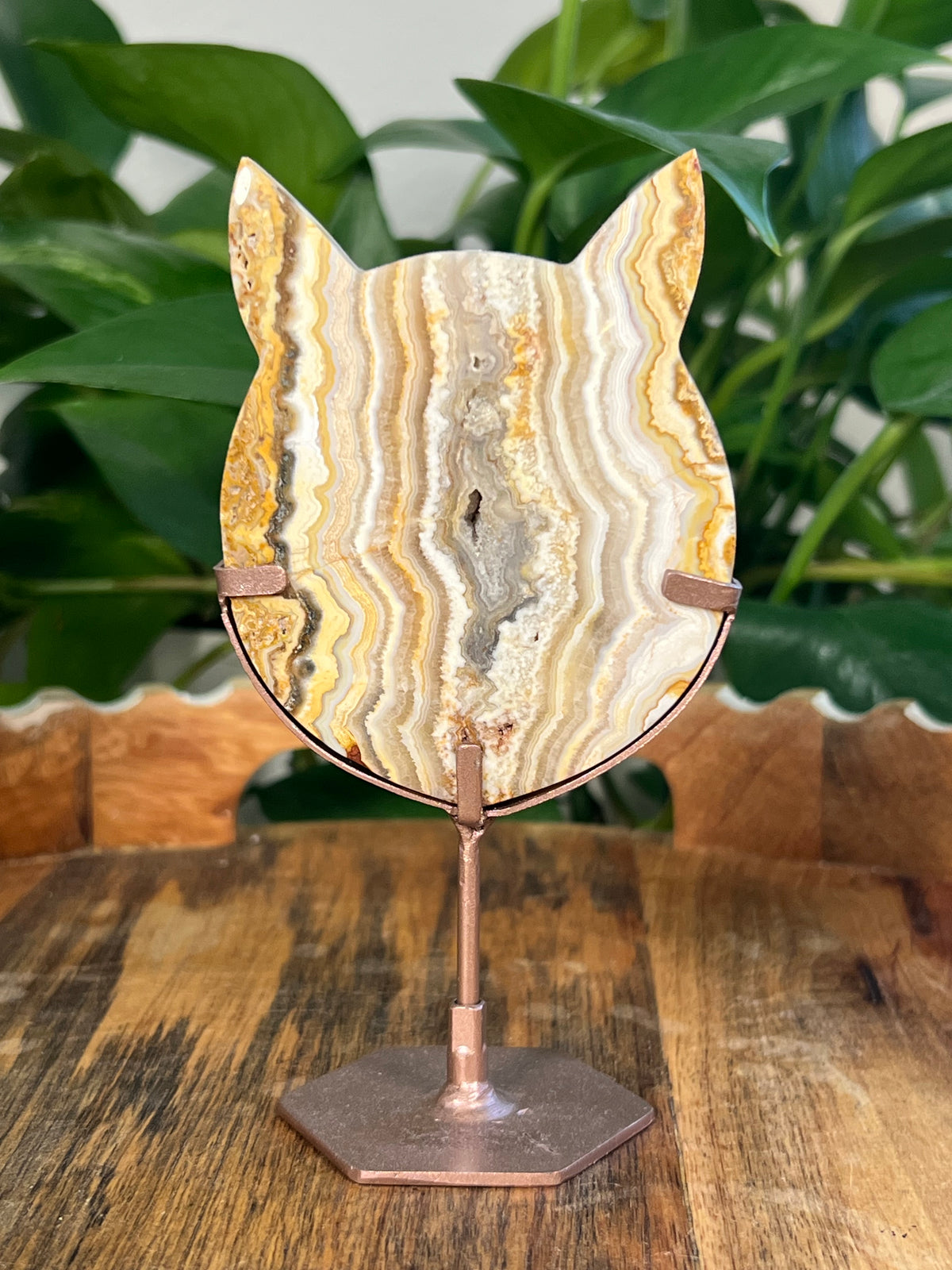 Yellow Crazy Lace Agate Cat Heads