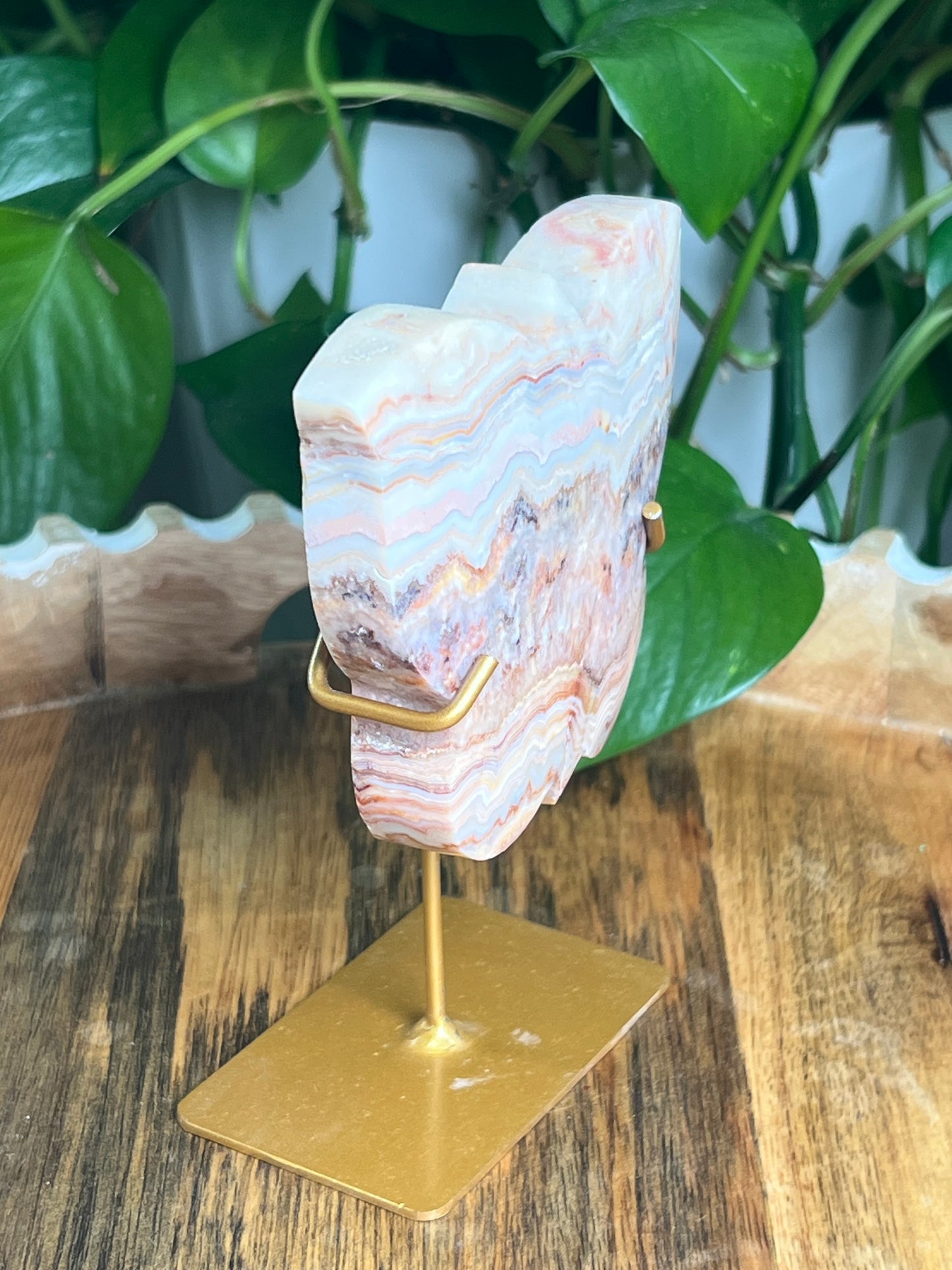 Crazy Lace Agate Butterfly: PD