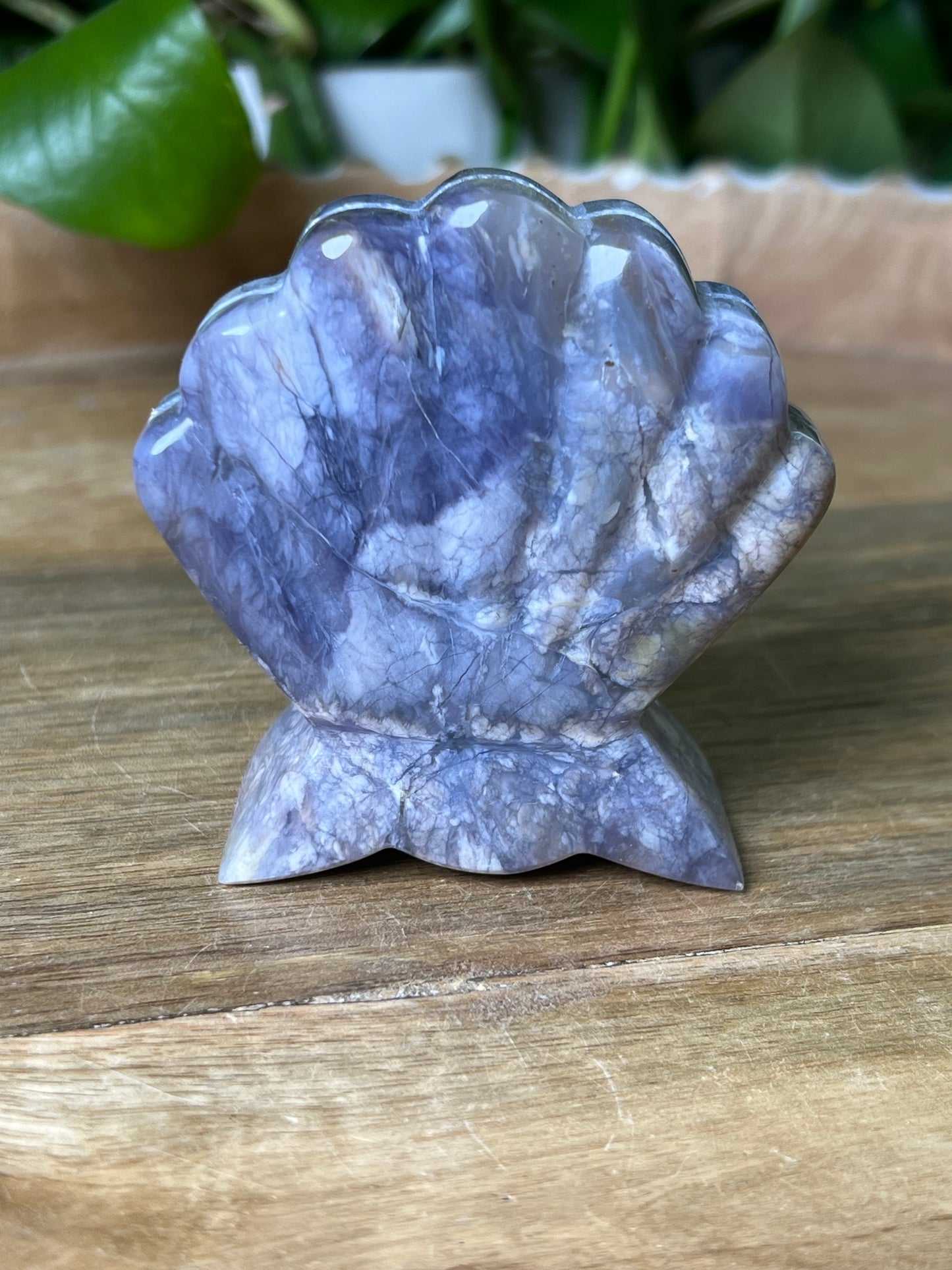 Purple Chalcedony Shell