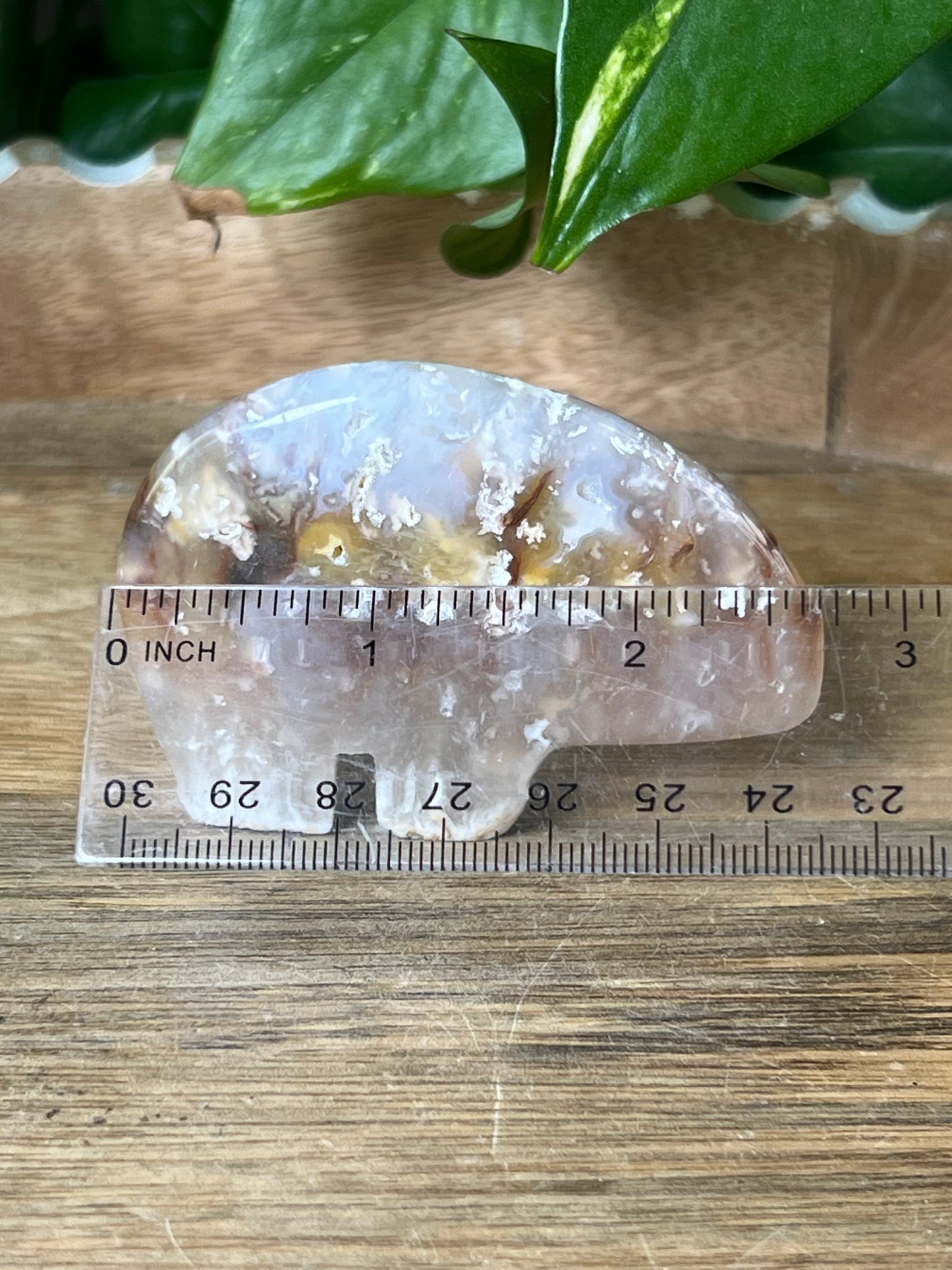 Rainbow Plume Agate Bear