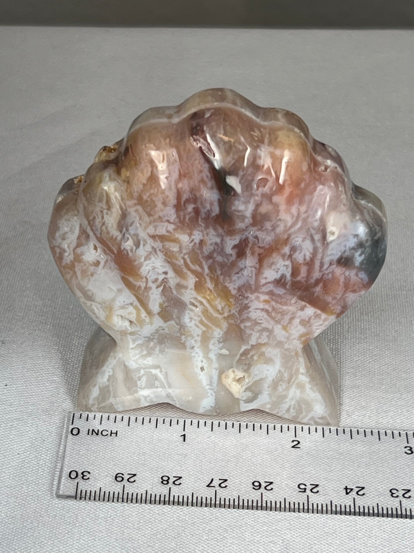 Rainbow Plume Agate Shell