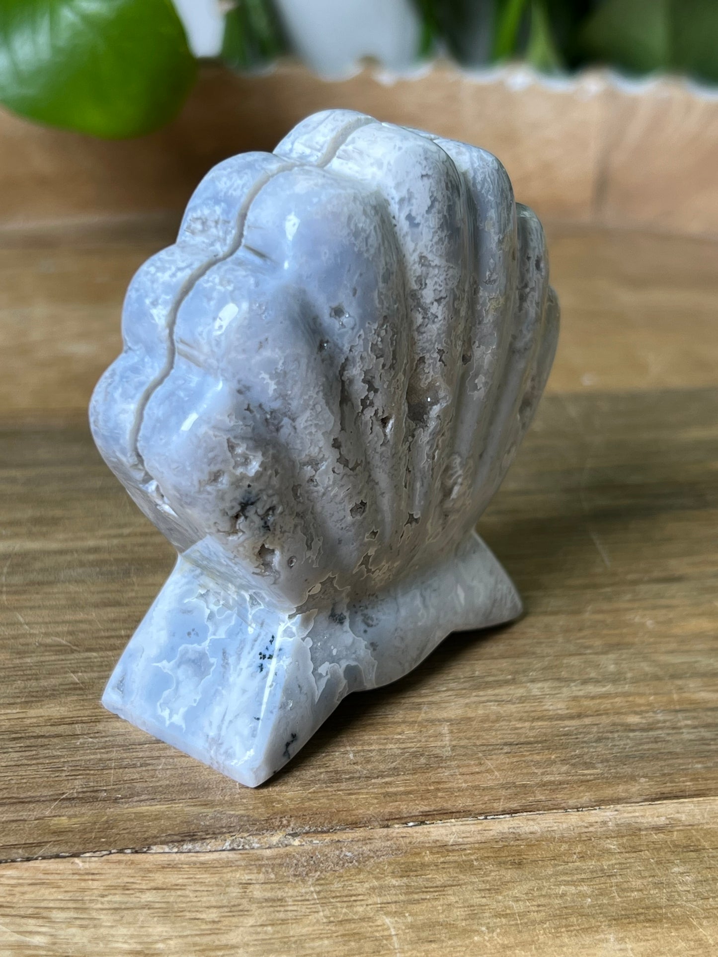 Blue Plume Agate Shell