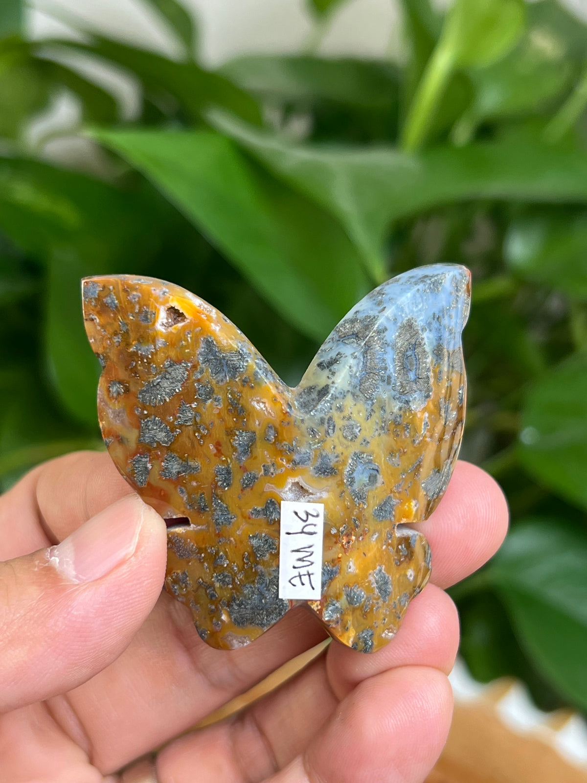 Marcasite 3D Butterfly: ME