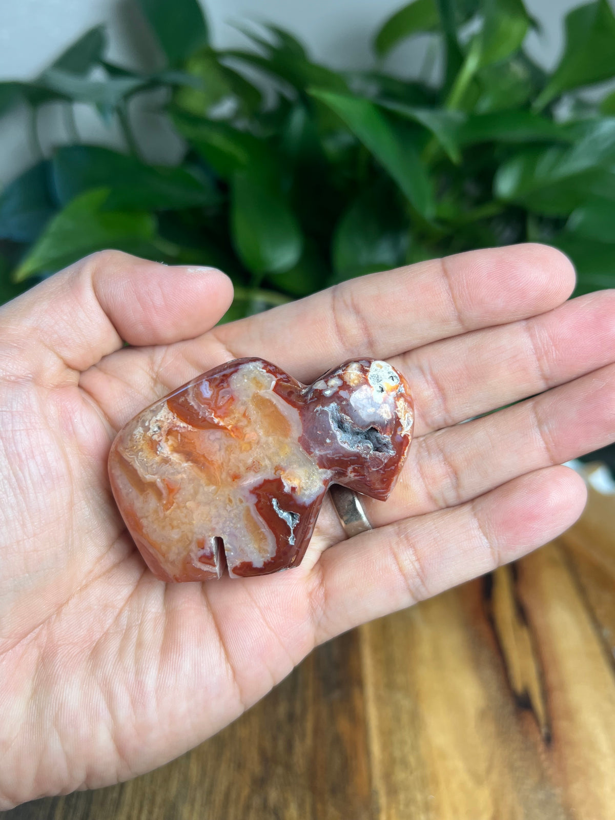 Carnelian Mini Buffalo: BH