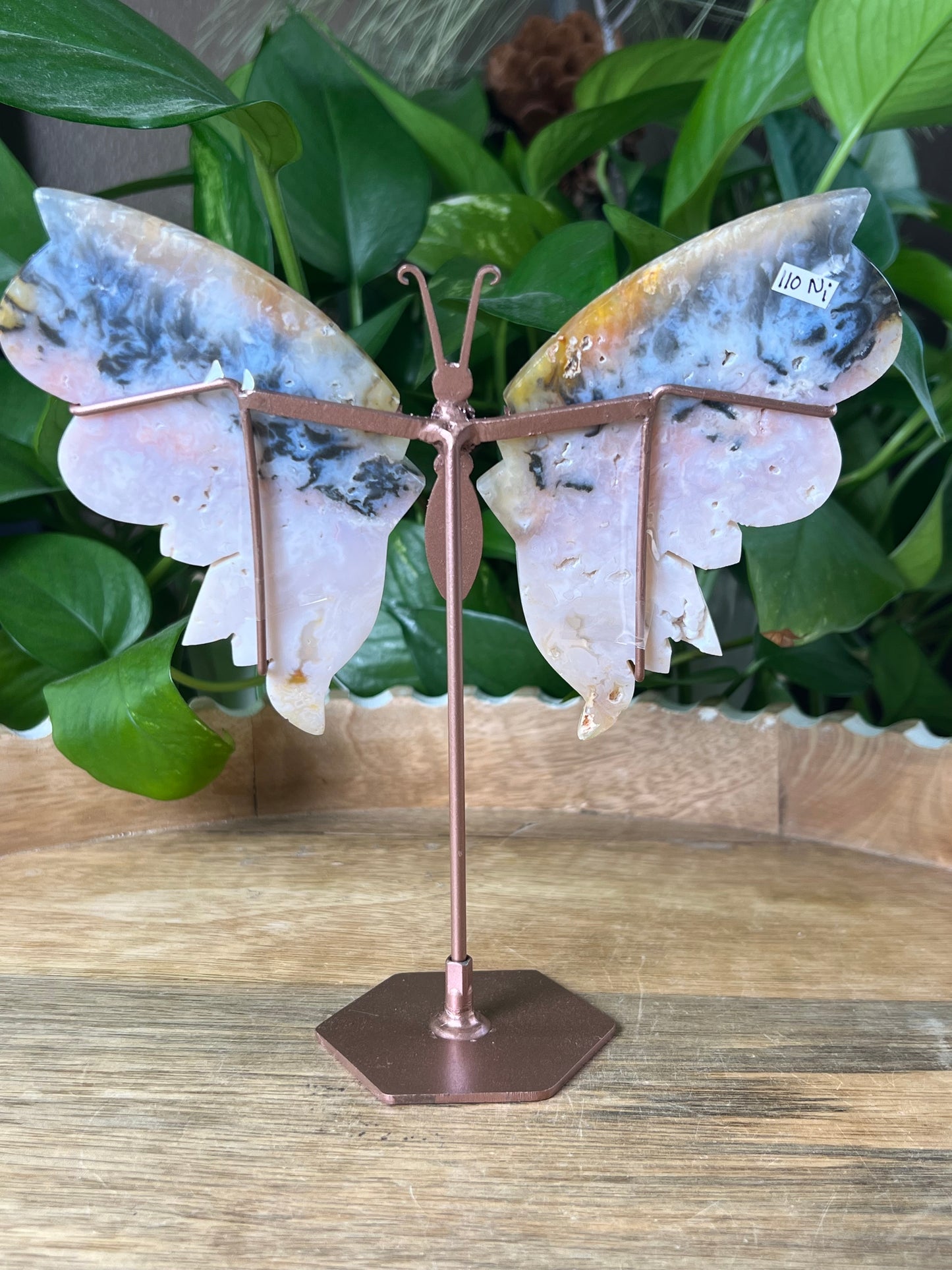 Rainbow Plume Agate Wings