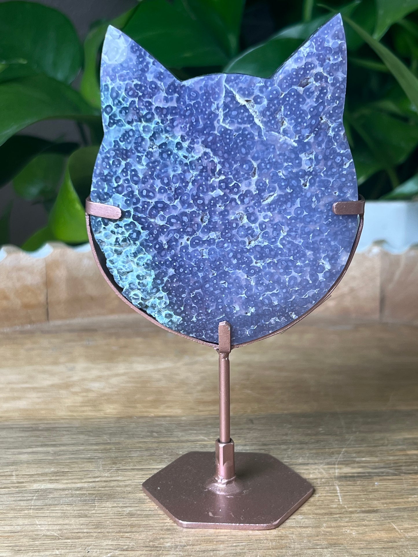 Grape Agate Cat
