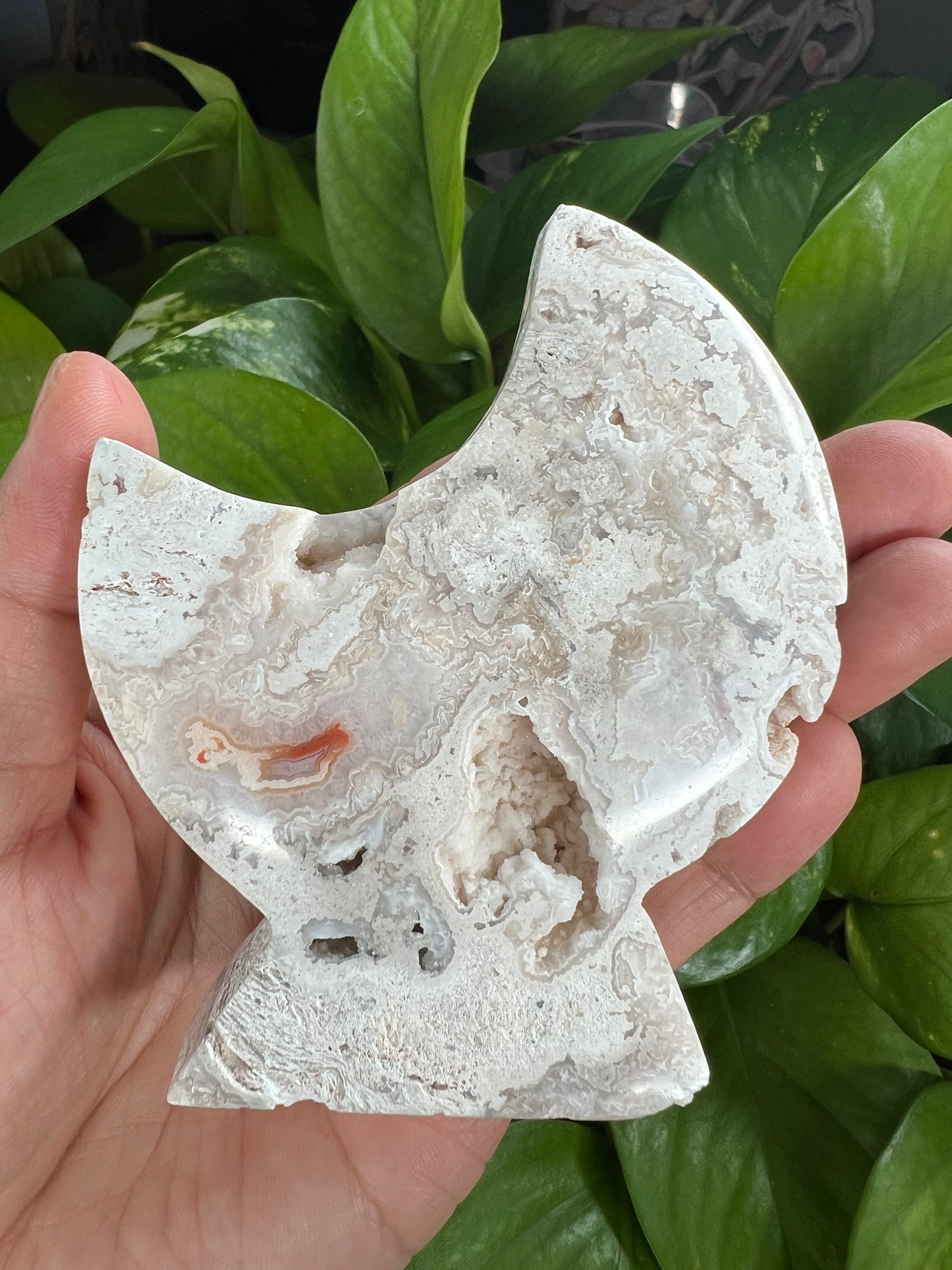 Crazy Lace Agate Moon