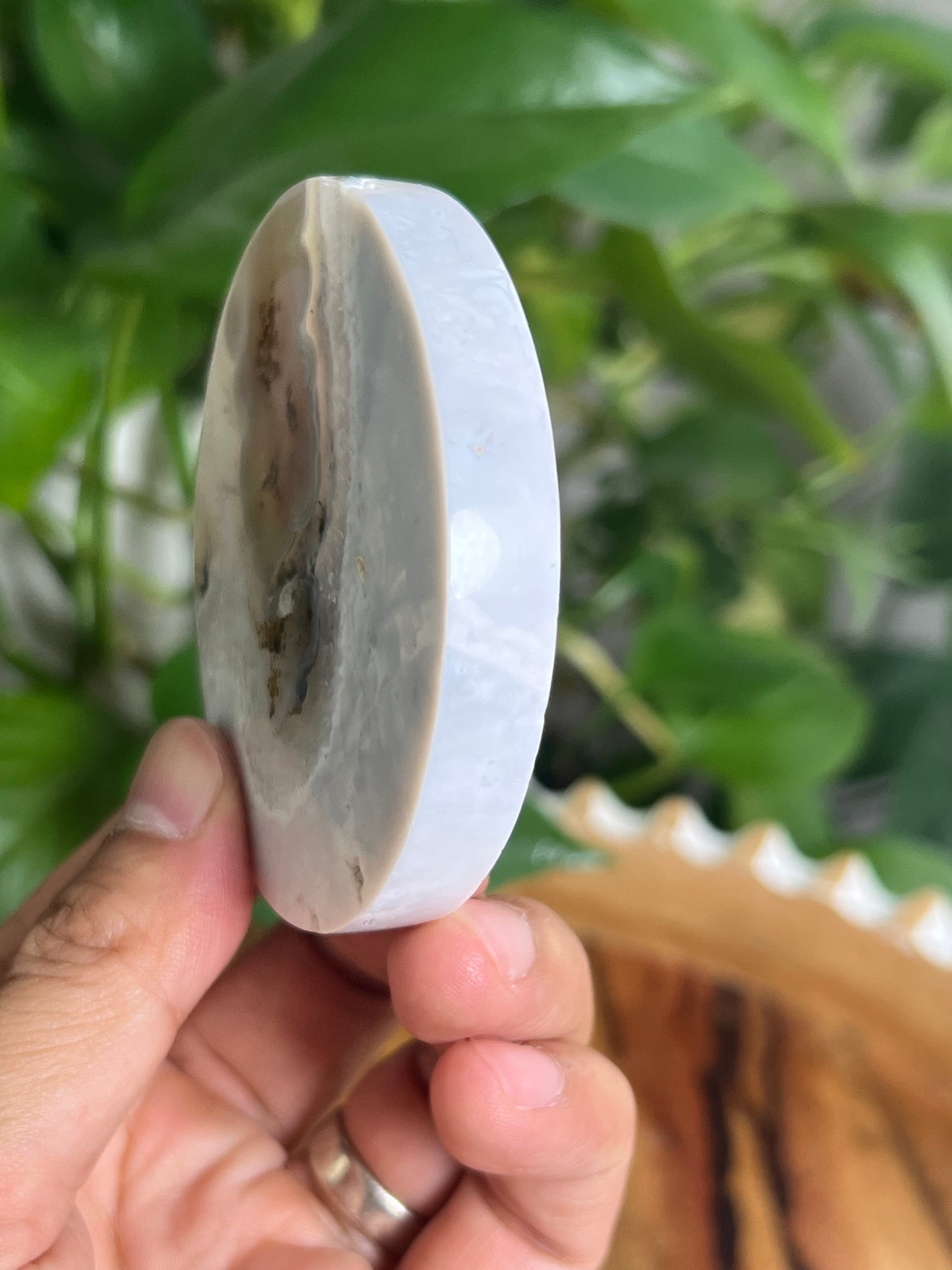 Scenic Moss Agate Coaster: K