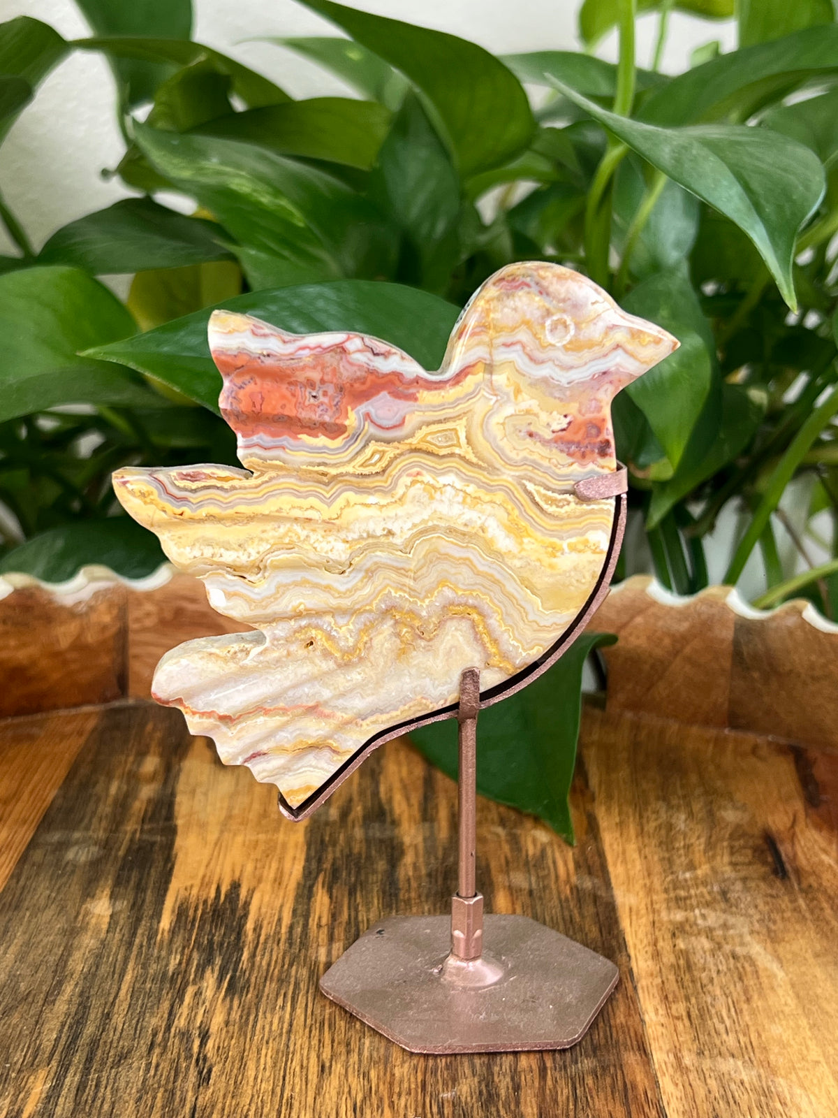 Crazy Lace Agate Birds