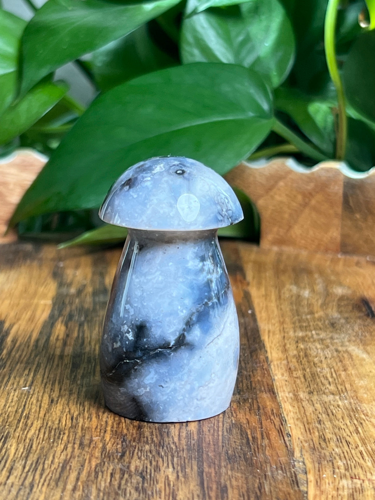 Blue Plume Agate Mushroom: EK