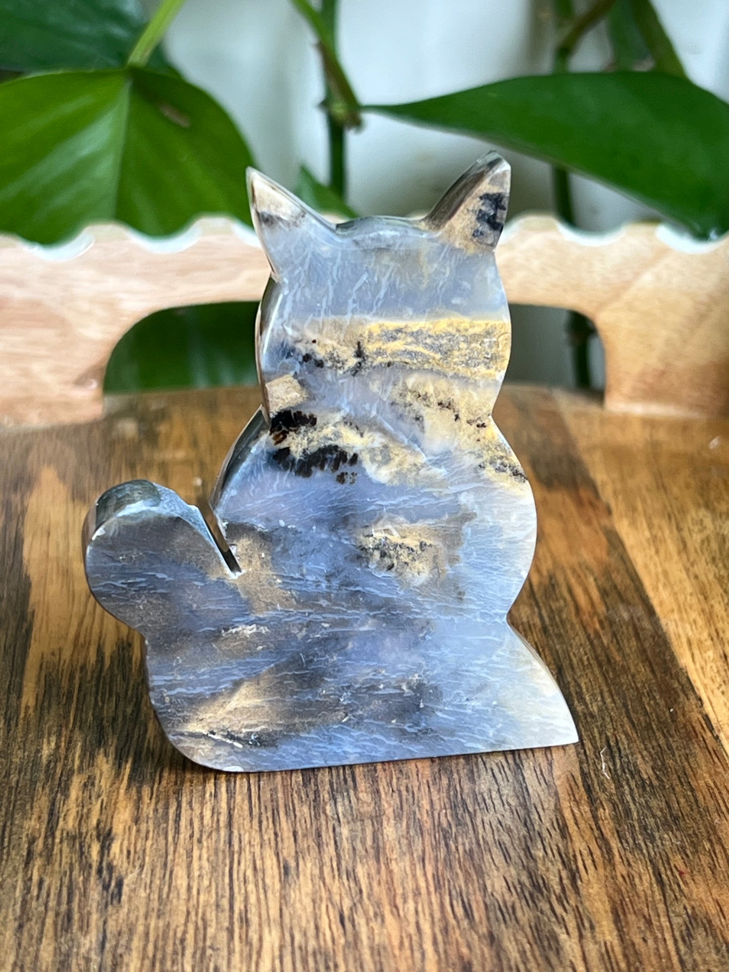 Dendritic Tiger Agate Cat AD