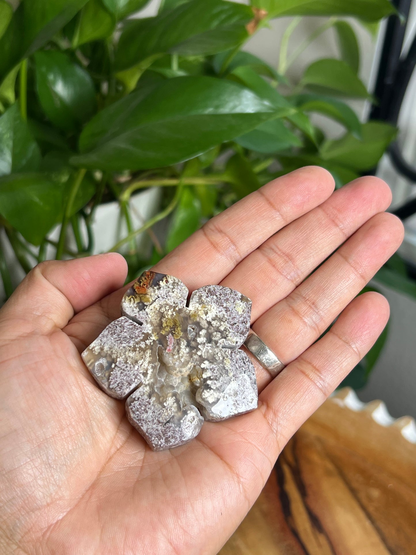 Scenic Moss Agate Flower: NF