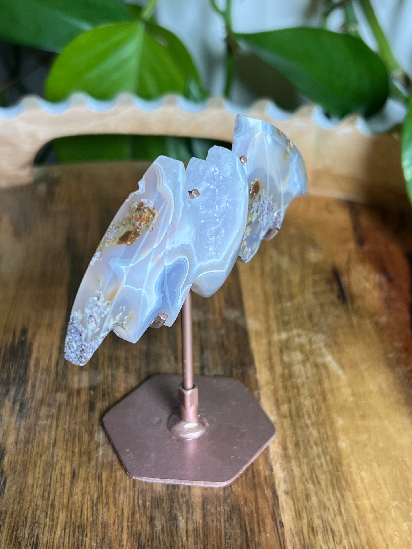 Scenic Moss Agate Bat