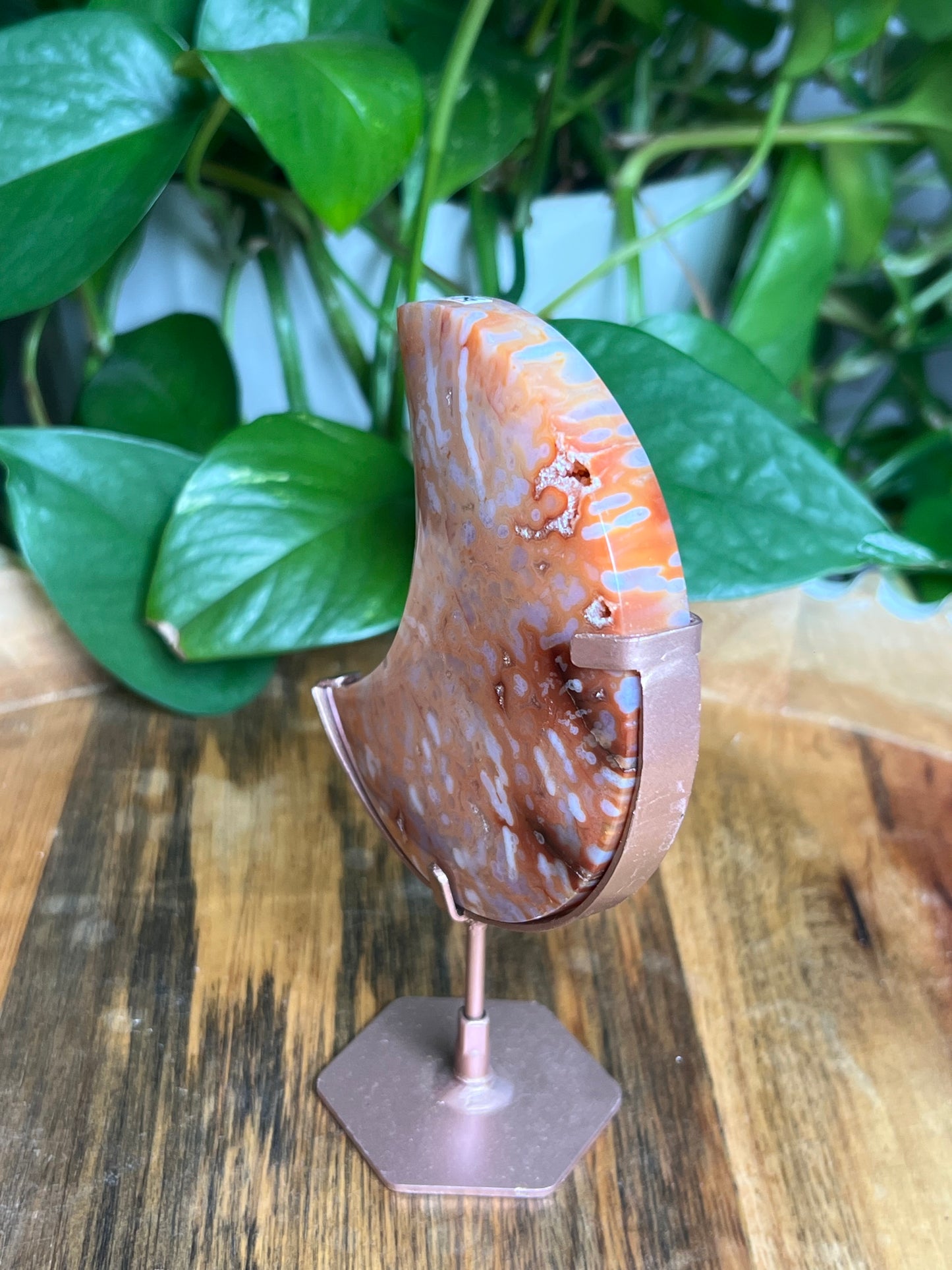 Carnelian Moon: BG