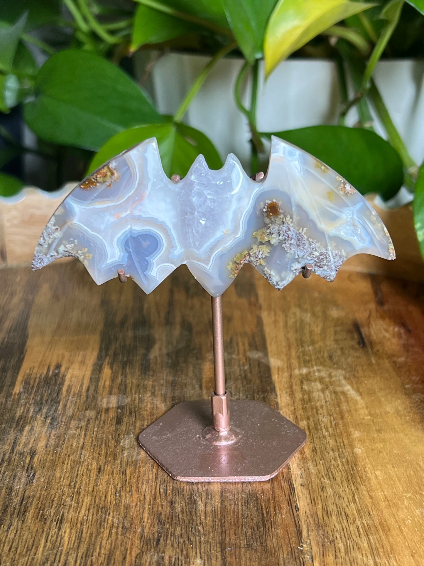 Scenic Moss Agate Bat
