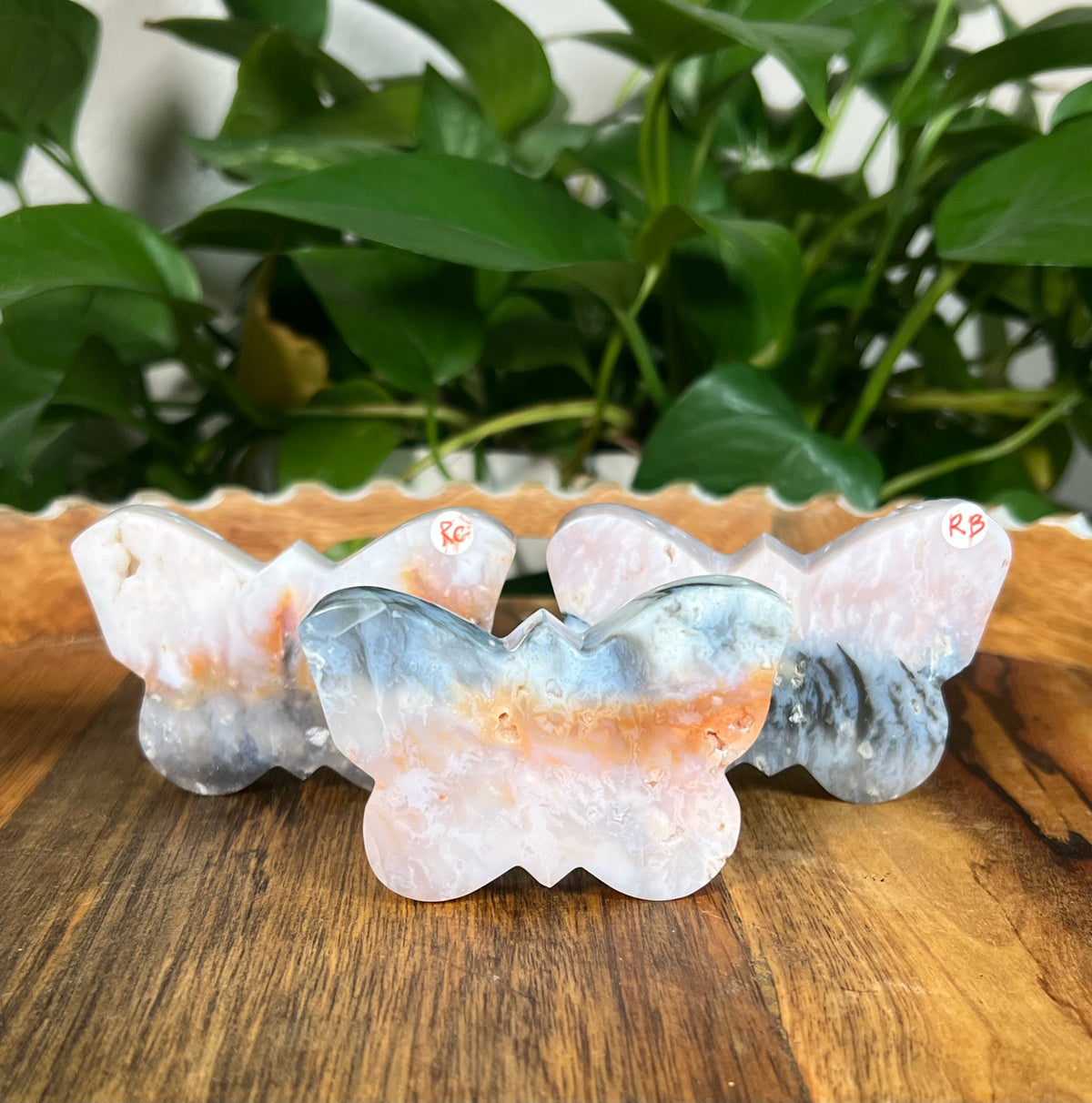 Rainbow Plume Agate Small Self Standing Butterflies