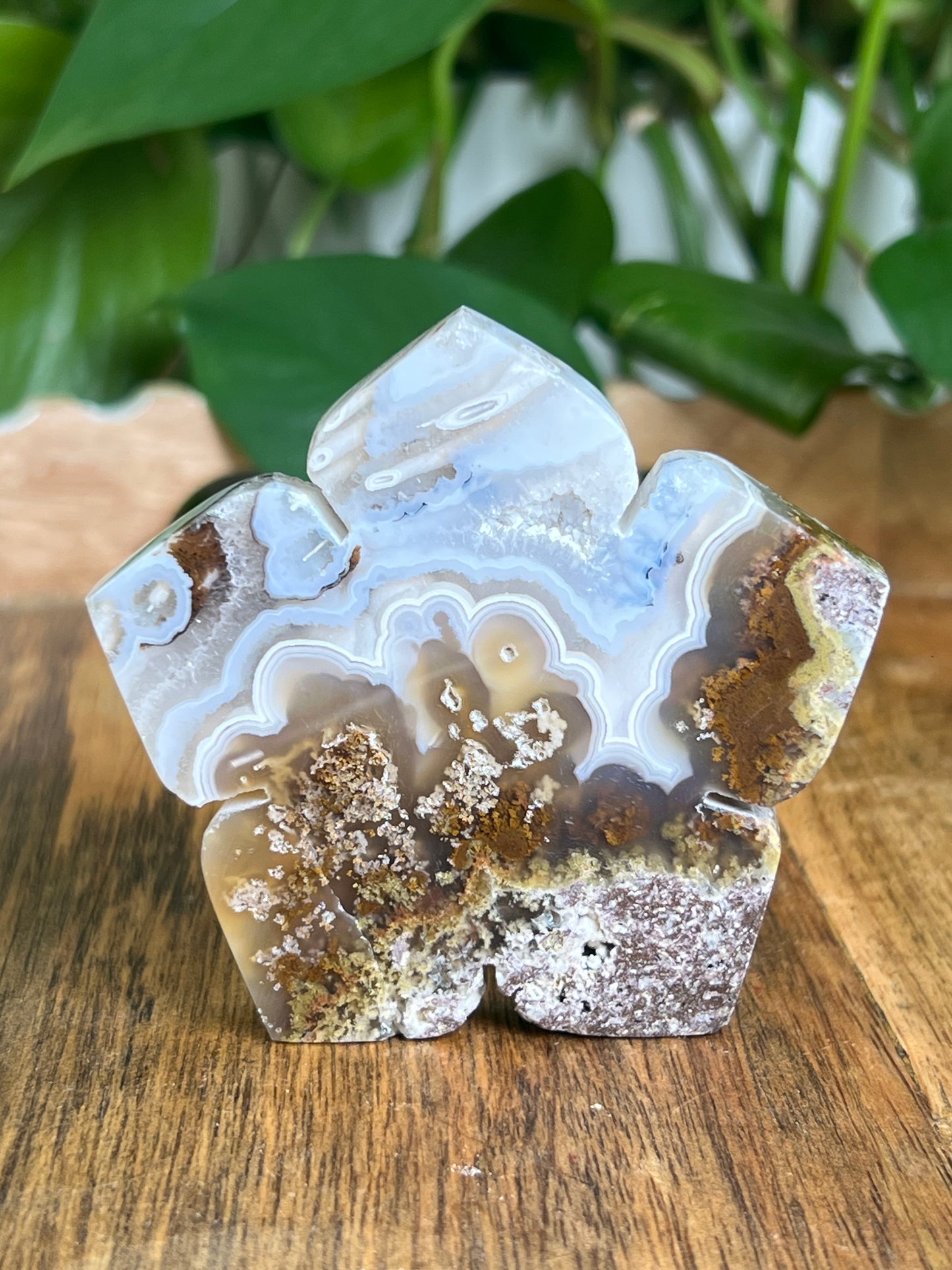 Scenic Moss Agate Flower PA