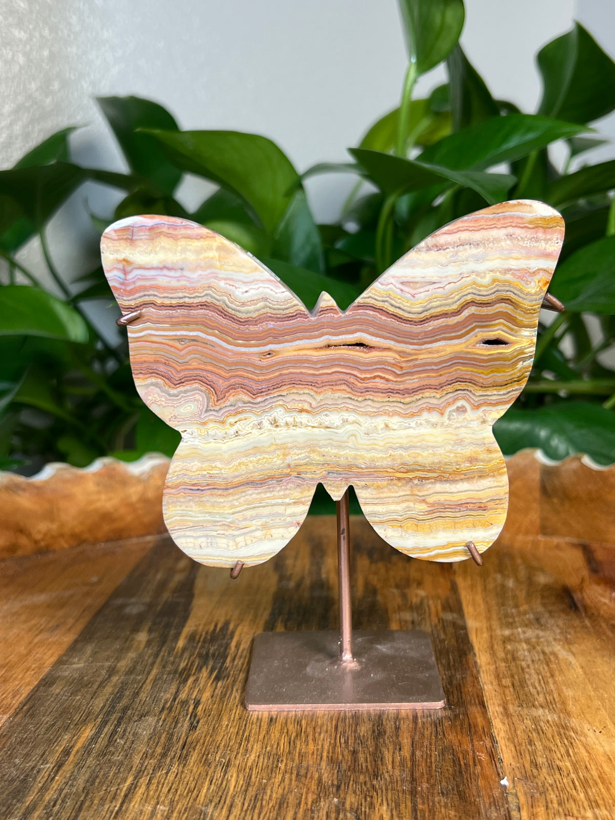 Crazy Lace Agate Butterflies