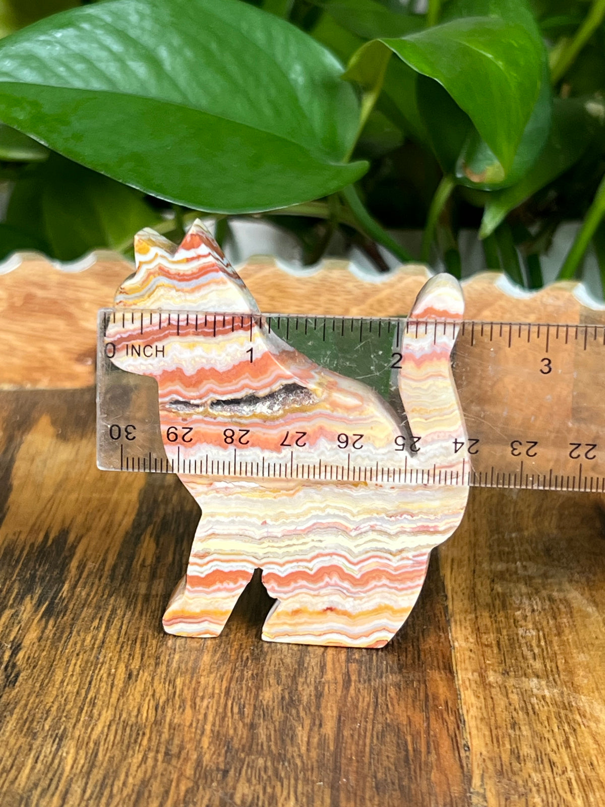 Crazy Lace Agate Cats