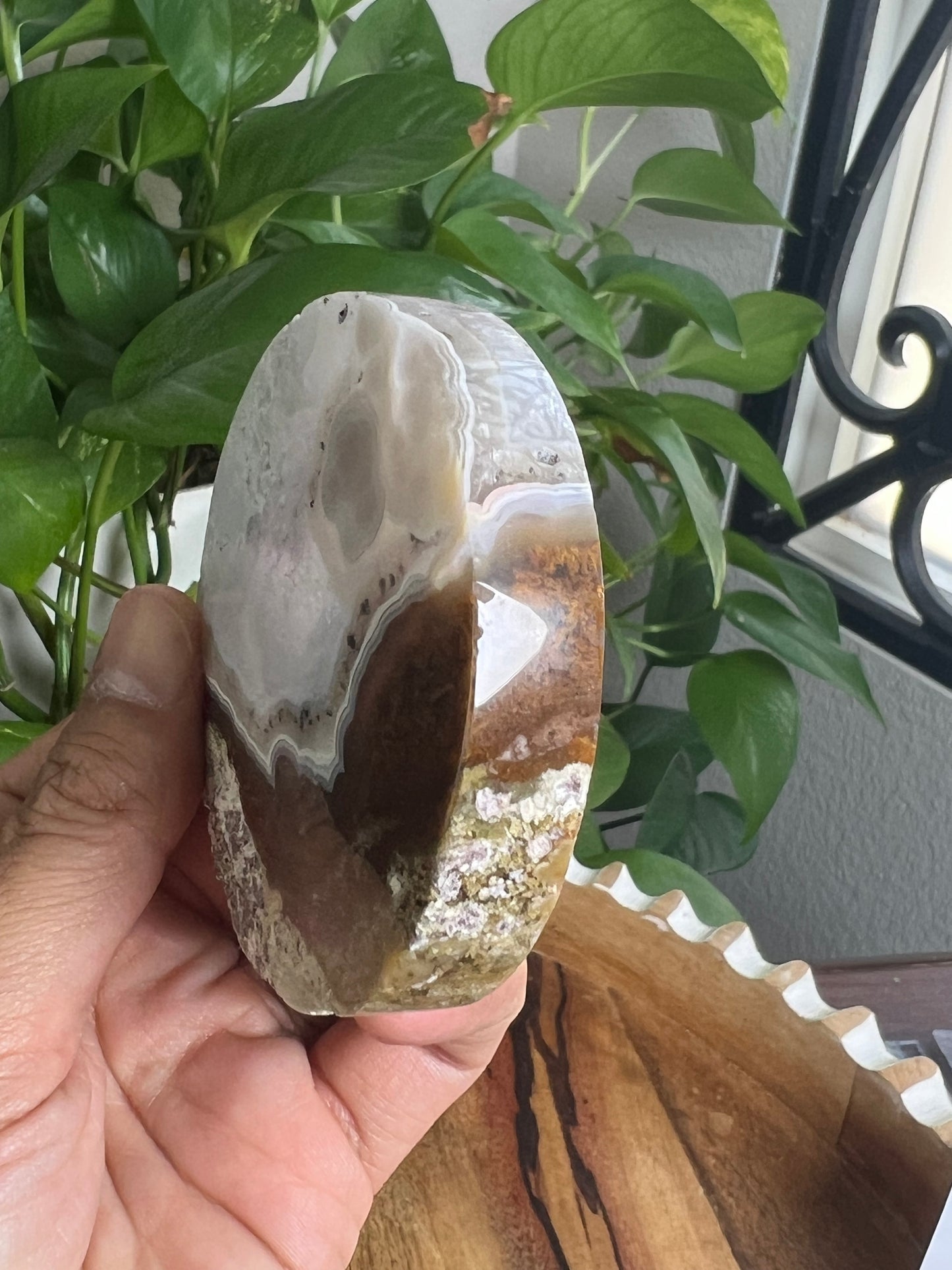Scenic Moss Agate Coaster: KE