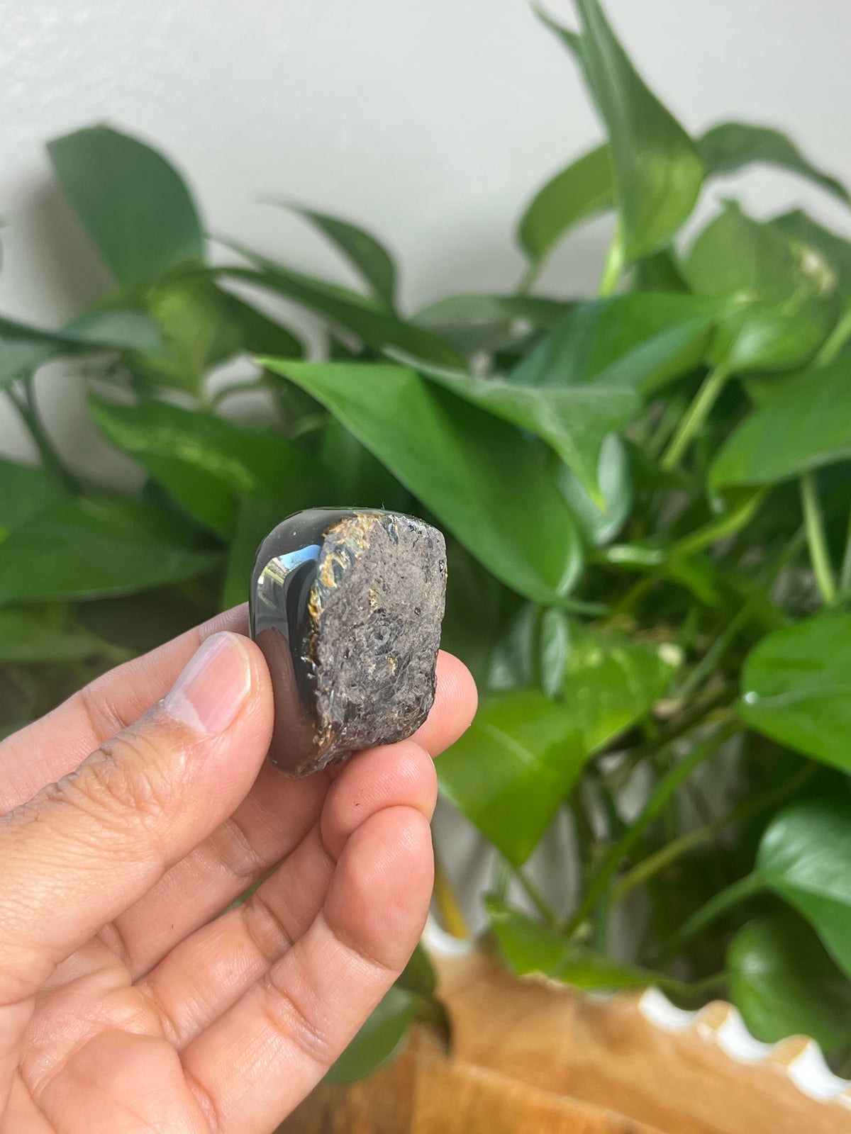 Blue Amber Freeform: SV